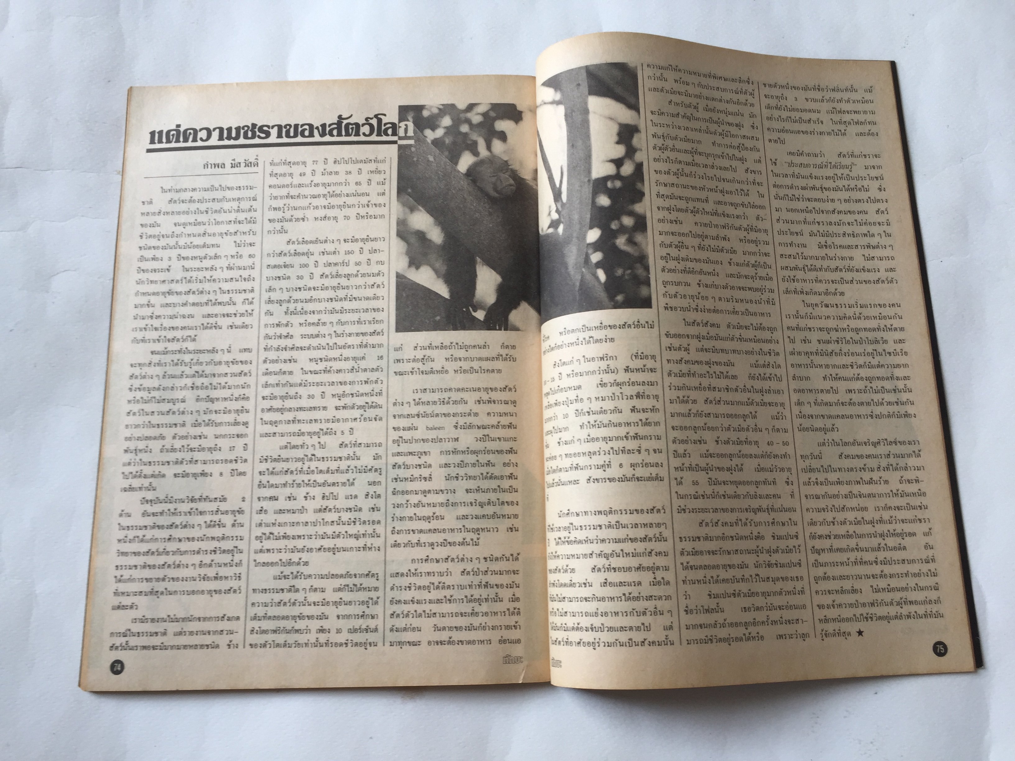 นิตยสาร ทักษะ วิทยาศาสตร์เทคโนโลยี ฉบับที่ 31 สิงหาคม 2524 ราคาปก 10 บาท