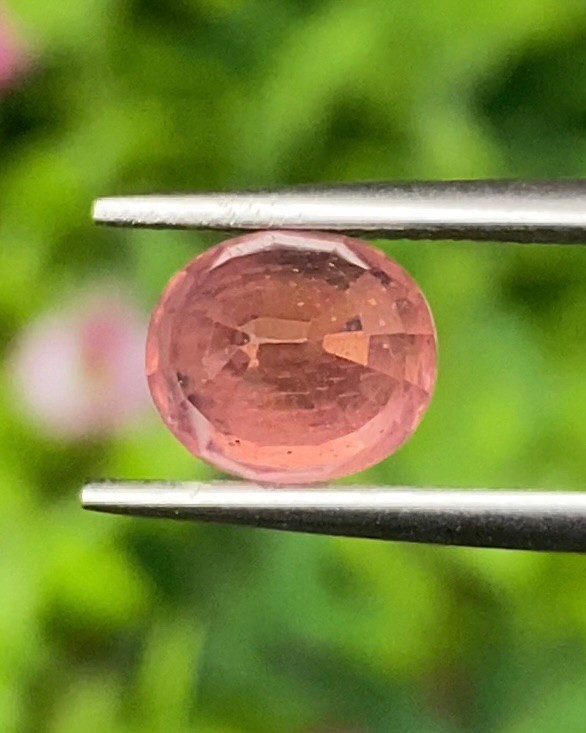 พลอย ออเรนจ์ แซฟไฟร์ Orange Sapphire 2.33 กะรัต (Cts.) พร้อมใบเซอร์ พลอยแท้ อัญมณีมงคลประจําวันเกิด เครื่องประดับพลอย