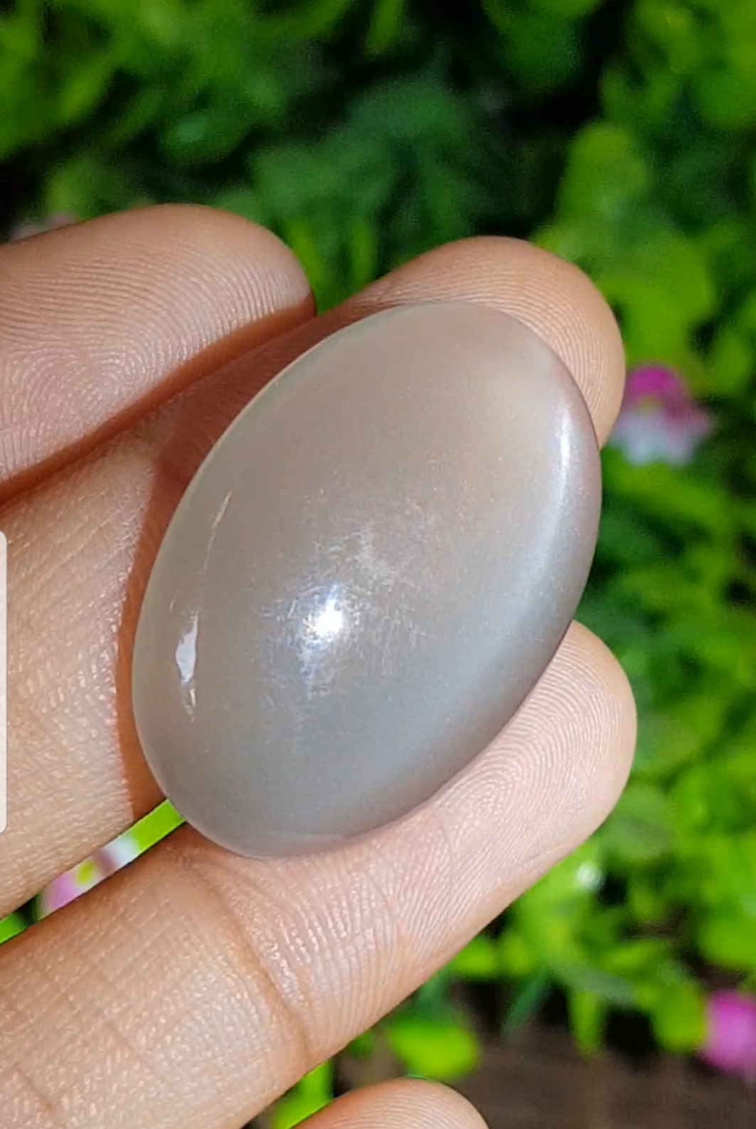 พลอย ตาแมว มูนสโตน Cat eye Moonstone 32.69 กะรัต (Cts.)พลอยแท้ อัญมณีมงคลประจําวันเกิด เครื่องประดับพลอย