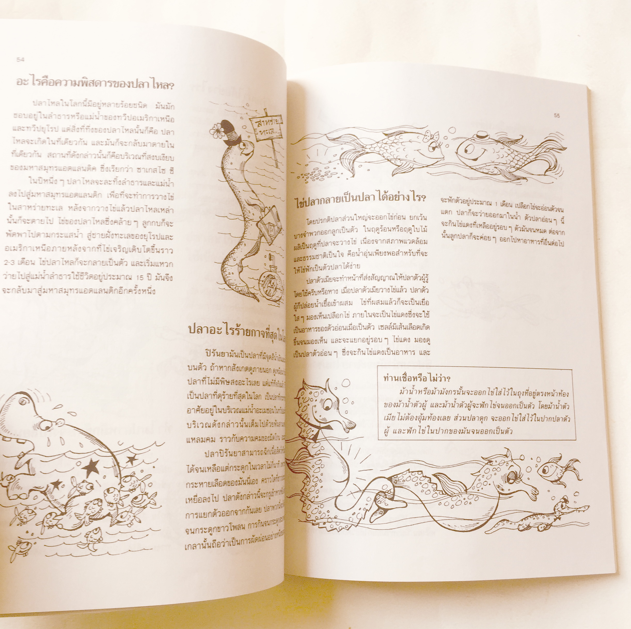 หนังสือภาพ การ์ตูนวิทยาศาสตร์น่าทึ่ง ชุด สัตว์โลกมหัศจรรย์ เสริมสร้างประสบการณ์ชีวิต หัดวาดภาพการ์ตูนจากภาพประกอบเรื่อง โดย สัมพันธ์ ก้องสมุทร