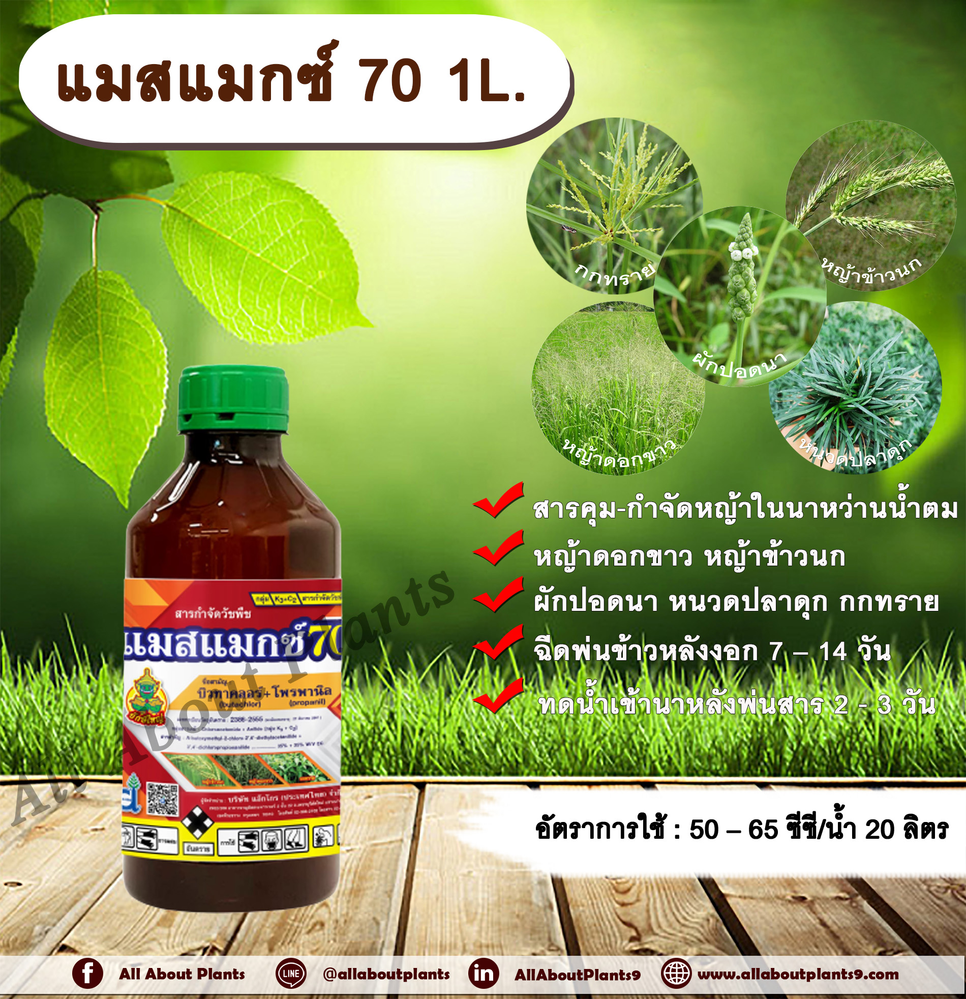 แมสแมกซ์ 70 1L. บิวทาคลอร์+โพรพานิล สารคุมวัชพืช สารกำจัดวัชพืช ในข้าวนาหว่านน้ำตม คุมและกำจัดหญ้าใบแคบ หญ้าใบกว้าง กก คุมหญ้า กำจัดหญ้า หญ้าดอกขาว หญ้าข้าวนก หญ้านกสีชมพู ผักปอดนา หนวดปลาดุก กกทราย ชิ้น