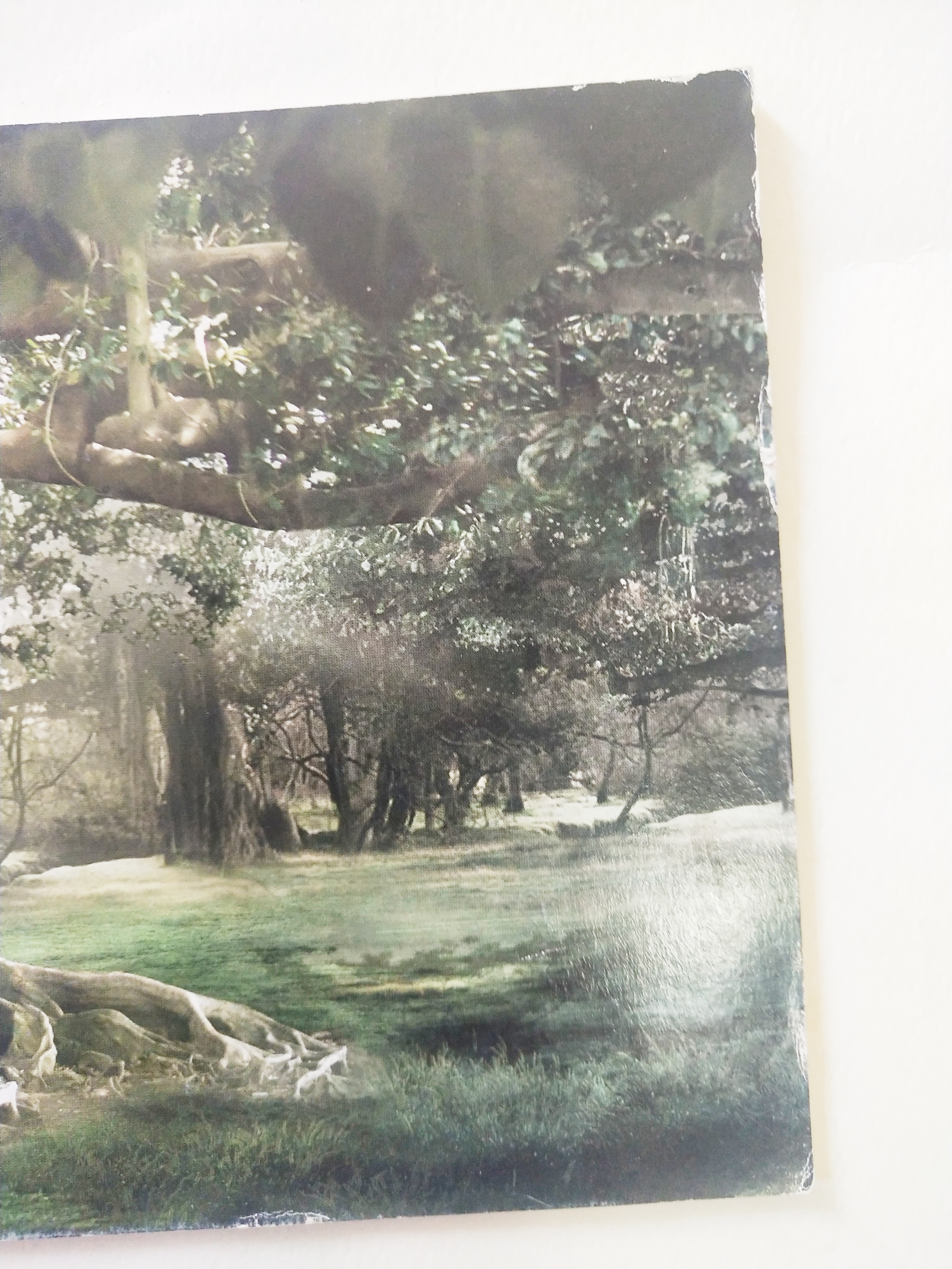 หนังสือภาพสวยเล่มยาว พระพุทธเจ้า เรื่องราวเกี่ยวกับพระศาสดา พร้อมภาพสีทั้งเล่ม