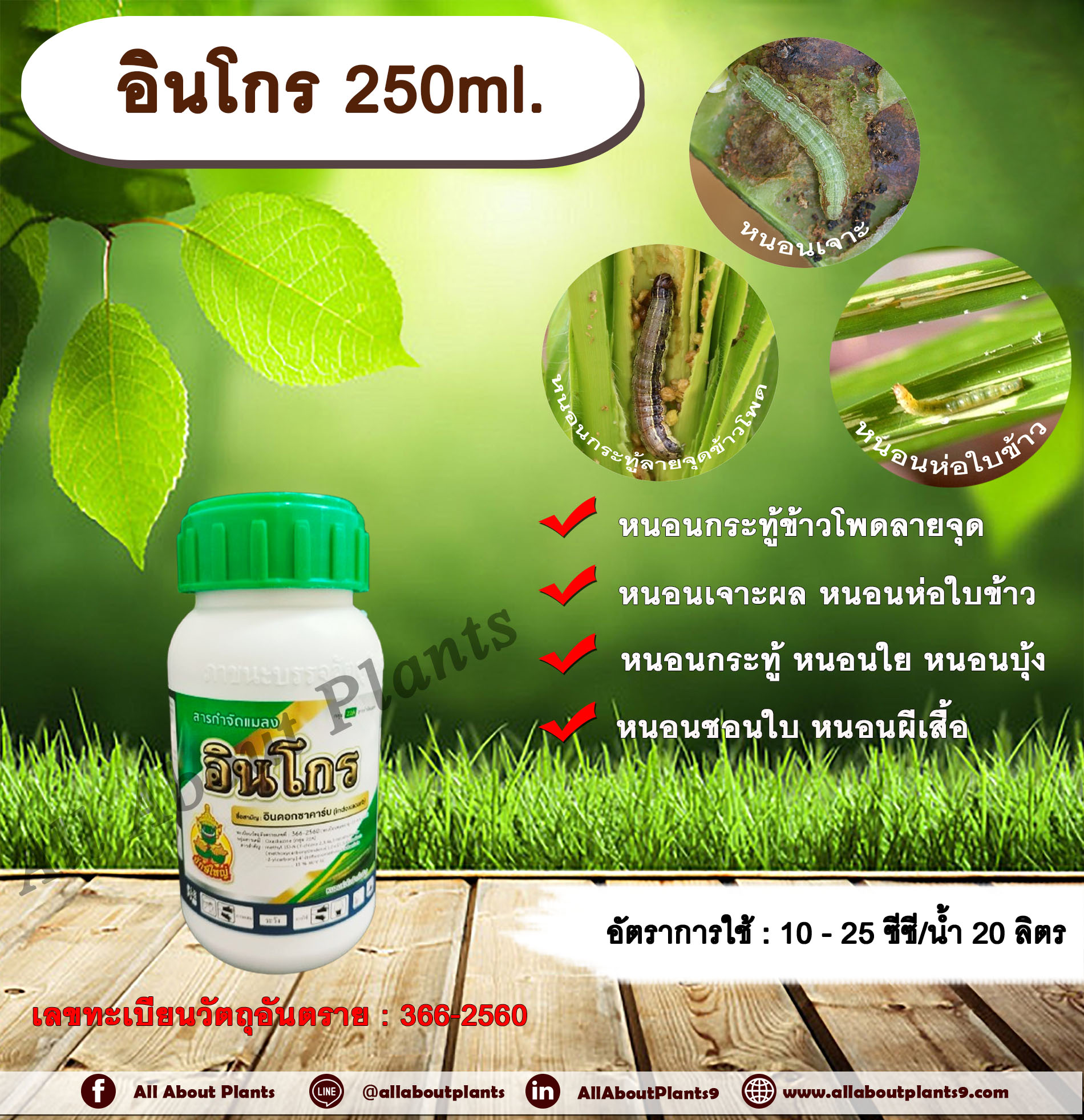 อินโกร 250ml. อินดอกซาคาร์บ สารกำจัดแมลง กำจัดหนอน หนอนม้วนใบ หนอนกระทู้ลายจุดข้าวโพด หนอนใย หนอนเจาะ หนอนกระทู้ allabountplants ชิ้น