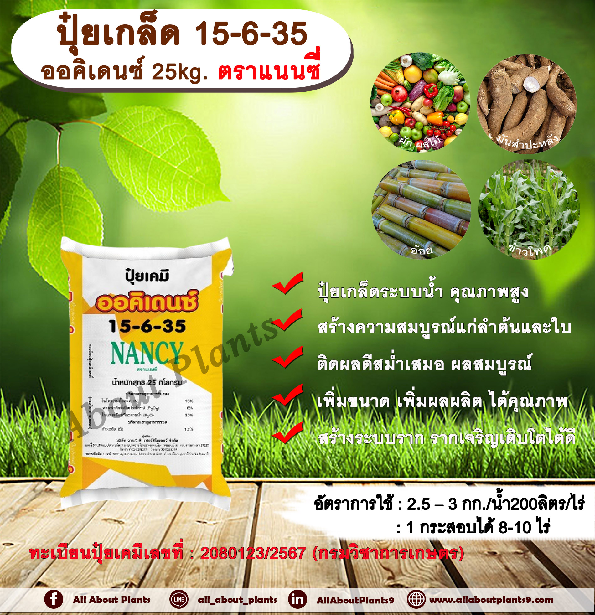 ปุ๋ยเกล็ด 15-6-35 ออคิเดนซ์ 25kg. ตราแนนซี่ ปุ๋ยระบบน้ำ ปุ๋ยเกล็ดระบบน้ำคุณภาพสูง สูตรบำรุงผลผลิต สร้างความสมบูรณ์แก่ลำต้นและใบ ติดผลดีสม่ำเสมอ ผลสมบูรณ์ เพิ่มขนาด เพิ่มผลผลิต เพิ่มรสชาติ สร้างระบบราก รากเจริญเติบโตได้ดี กระสอบ