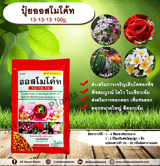 ปุ๋ยออสโมโค้ท 13-13-13 100g. ส่งเสริมการเจริญเติบโตของพืช พืชสมบูรณ์ โตไว ใบเขียวเข้ม ส่งสริมการออกดอก เพิ่มช่อดอก ดอกขนาดใหญ่ สีดอกเข้ม ปุ๋ยละลายช้า บำรุงไม้ดอกไม้ประดับ กล้าไม้ต่างๆ ไม้ผล ชิ้น