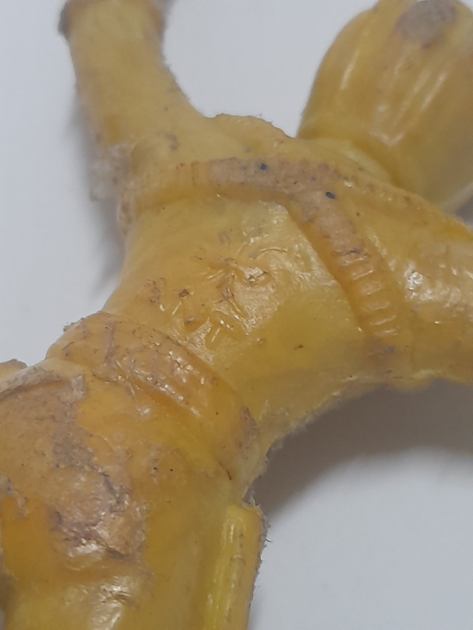 มีหล่ยภาพ อสรพิษแมงป่องแดง ร่างคน รุ่นเก่ามาก ดาบหัก ผ่านการใช้งาน ถ้ารับสภาพได้