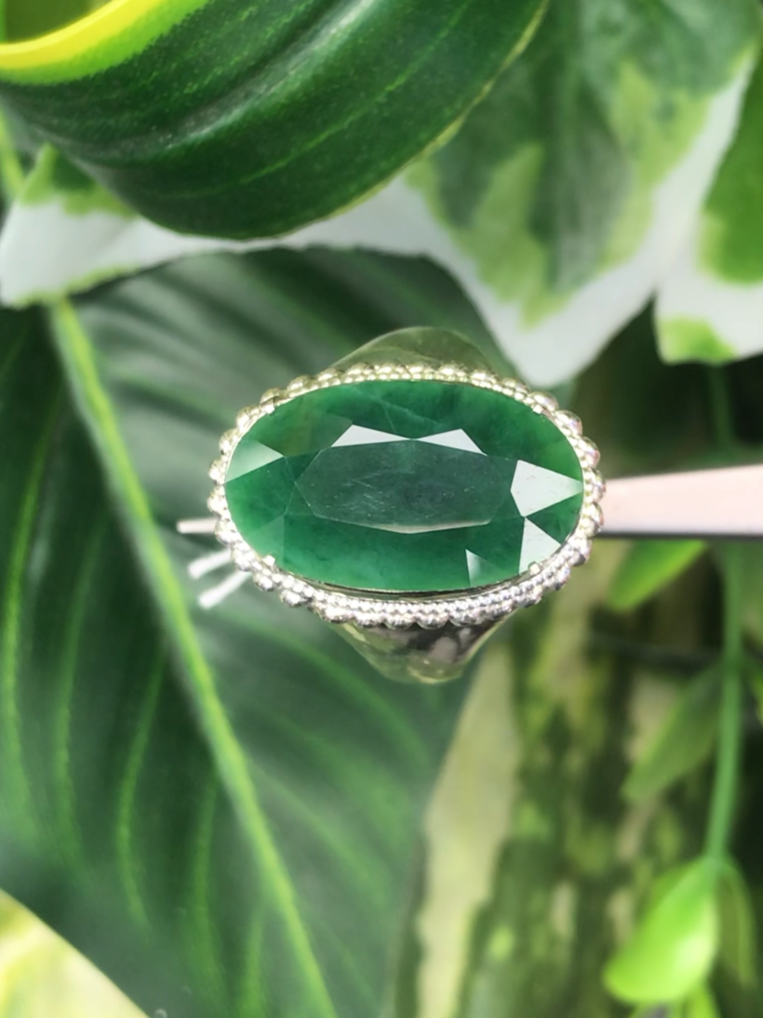 หยก พม่า แท้ Jade แหวนหยก 翡翠戒指 (Jadeite ring) ดิบ (Size) 58 ไม่ผ่านการปรับปรุง (Type A) พม่า (Myanmar)