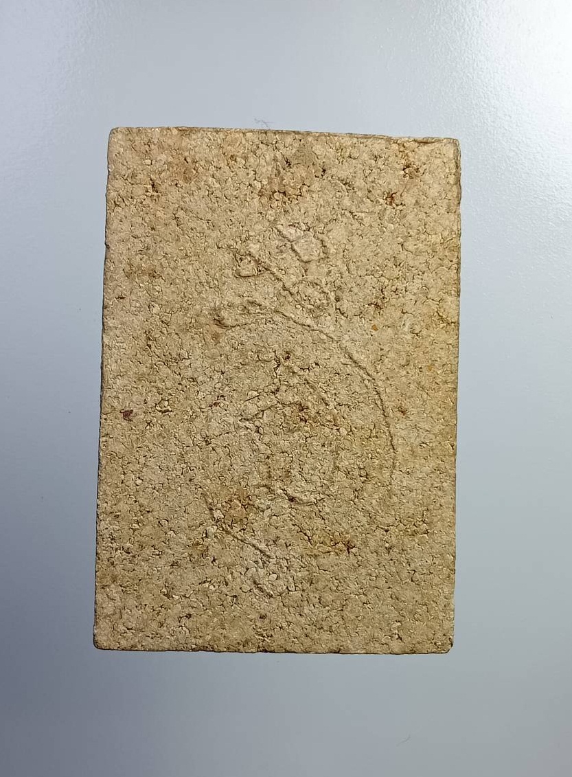 ผ2781 พระผง พระนาคปรก หลังยันต์ ไม่ทราบที่ครับ