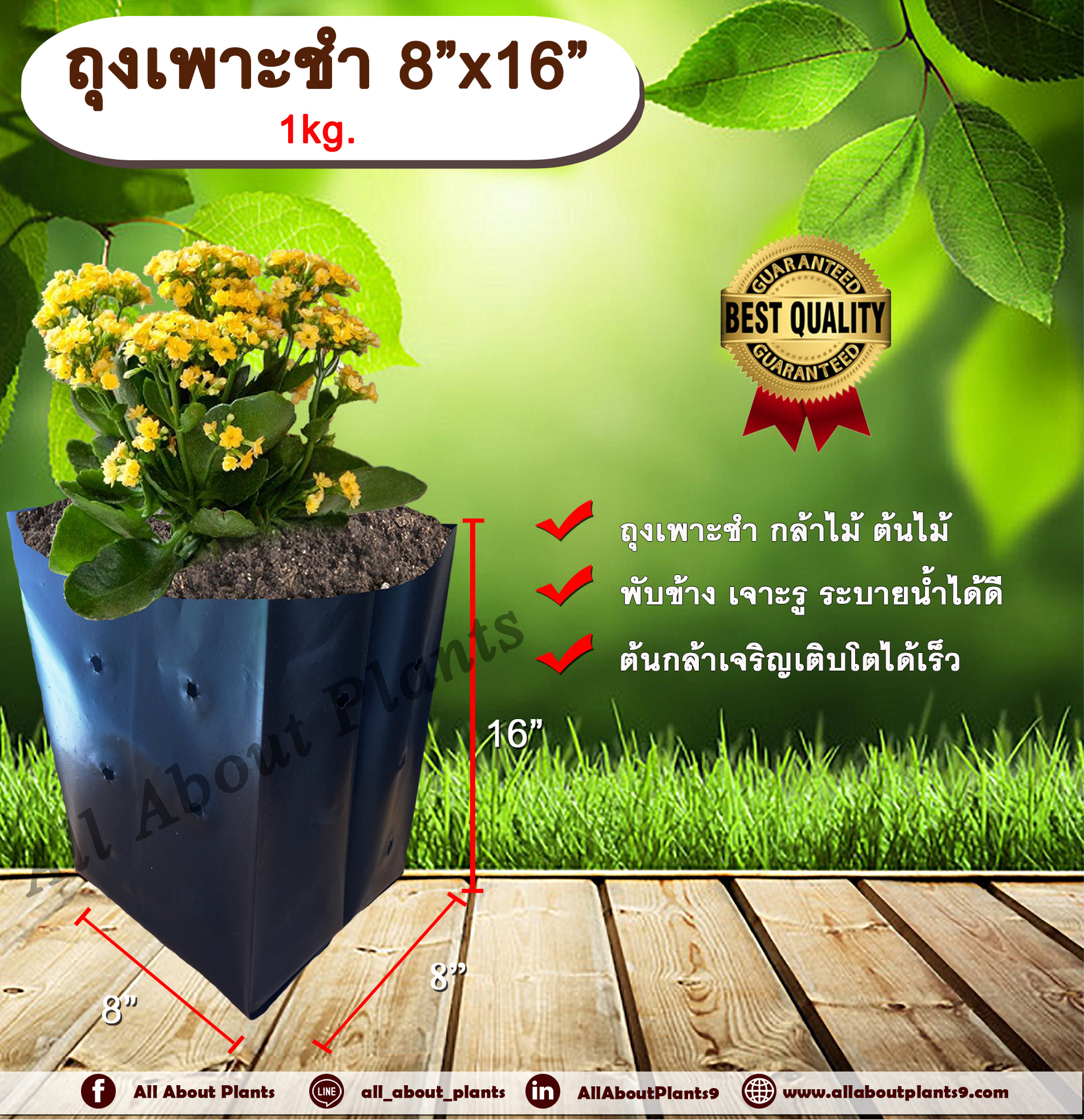 ถุงเพาะชำ 8”x16” 1 kg. ถุงเพาะชำสีดำ ถุงเพาะชำกล้าไม้ ต้นไม้ ถุงดำ allaboutplants ชิ้น