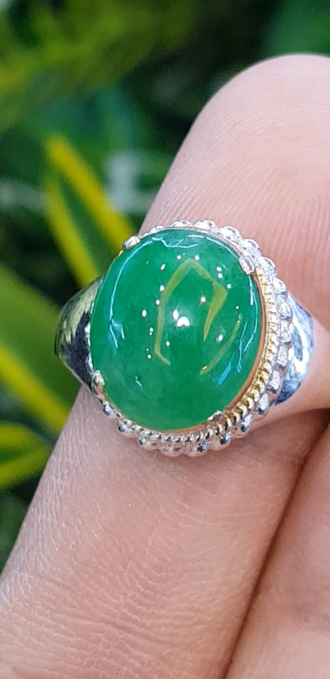 หยก พม่า แท้ Jade แหวนหยก 翡翠戒指 (Jadeite ring) 3.12 กะรัต (Cts.) ดิบ ไม่ผ่านการปรับปรุง (Type A) พม่า (Myanmar)