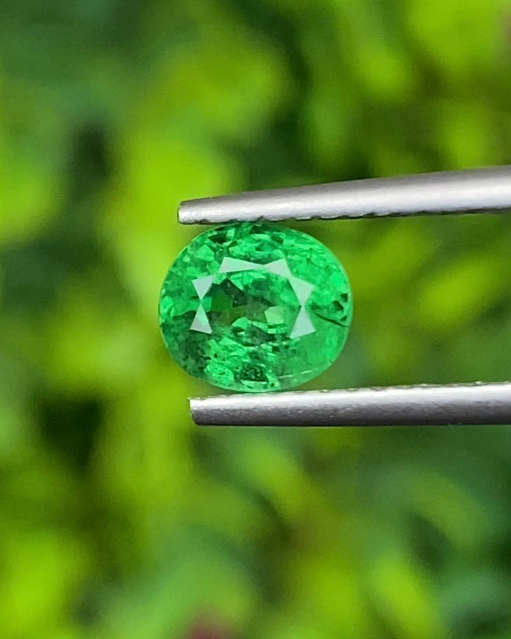พลอย ซาโวไรท์ Tsavorite Garnet 1.25 กะรัต (Cts.) ดิบ Unheated พลอยแท้ อัญมณีมงคลประจําวันเกิด เครื่องประดับพลอย