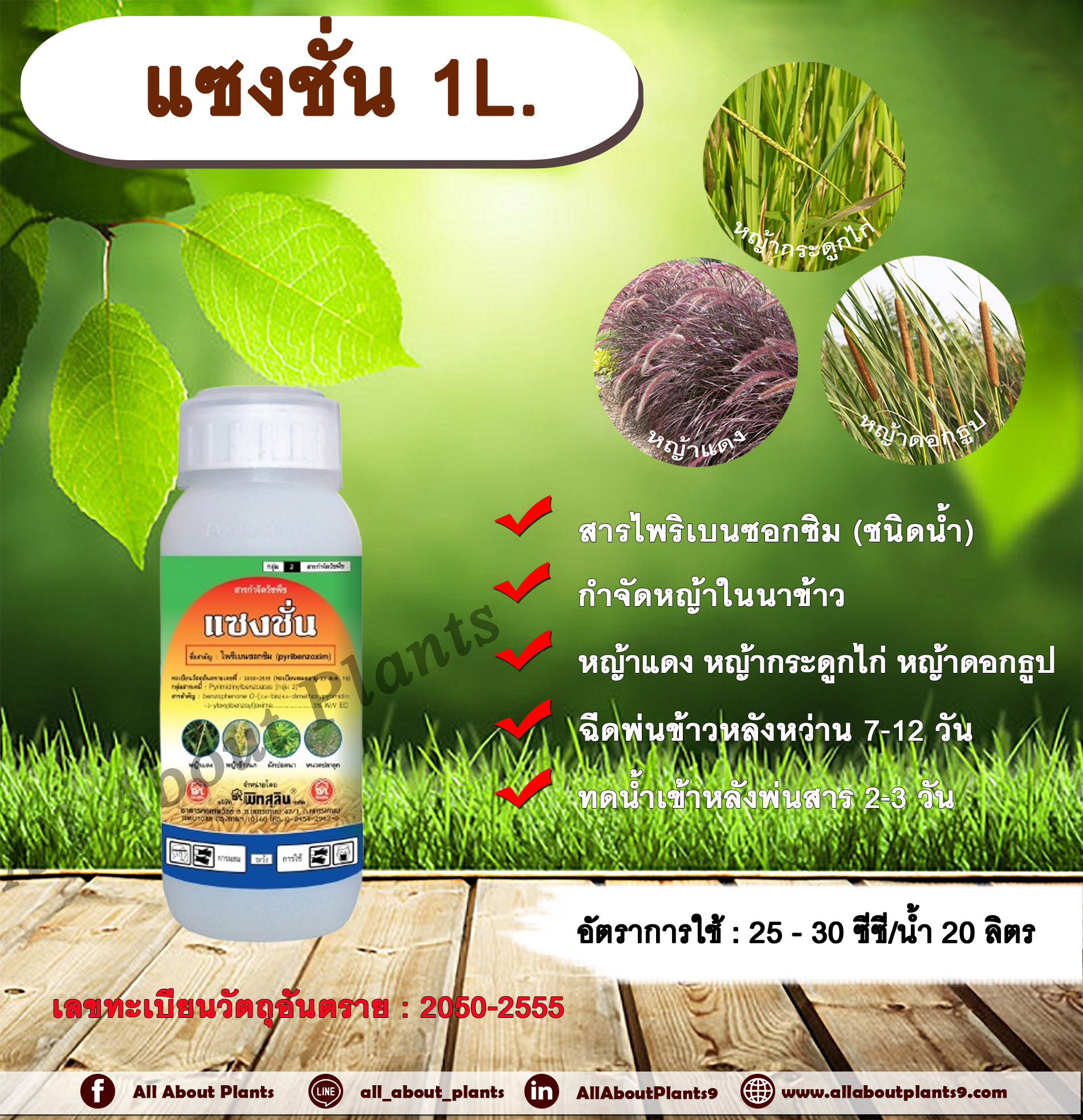 แซงชั่น 1L. ไพริเบนซอกซิม สารกำจัดวัชพืช กำจัดหญ้า ในนาข้าว กำจัดหญ้าแดง หญ้ากระดูกไก่ หญ้าดอกธูป หญ้าดอกต่อ หญ้าเดือย ขวด