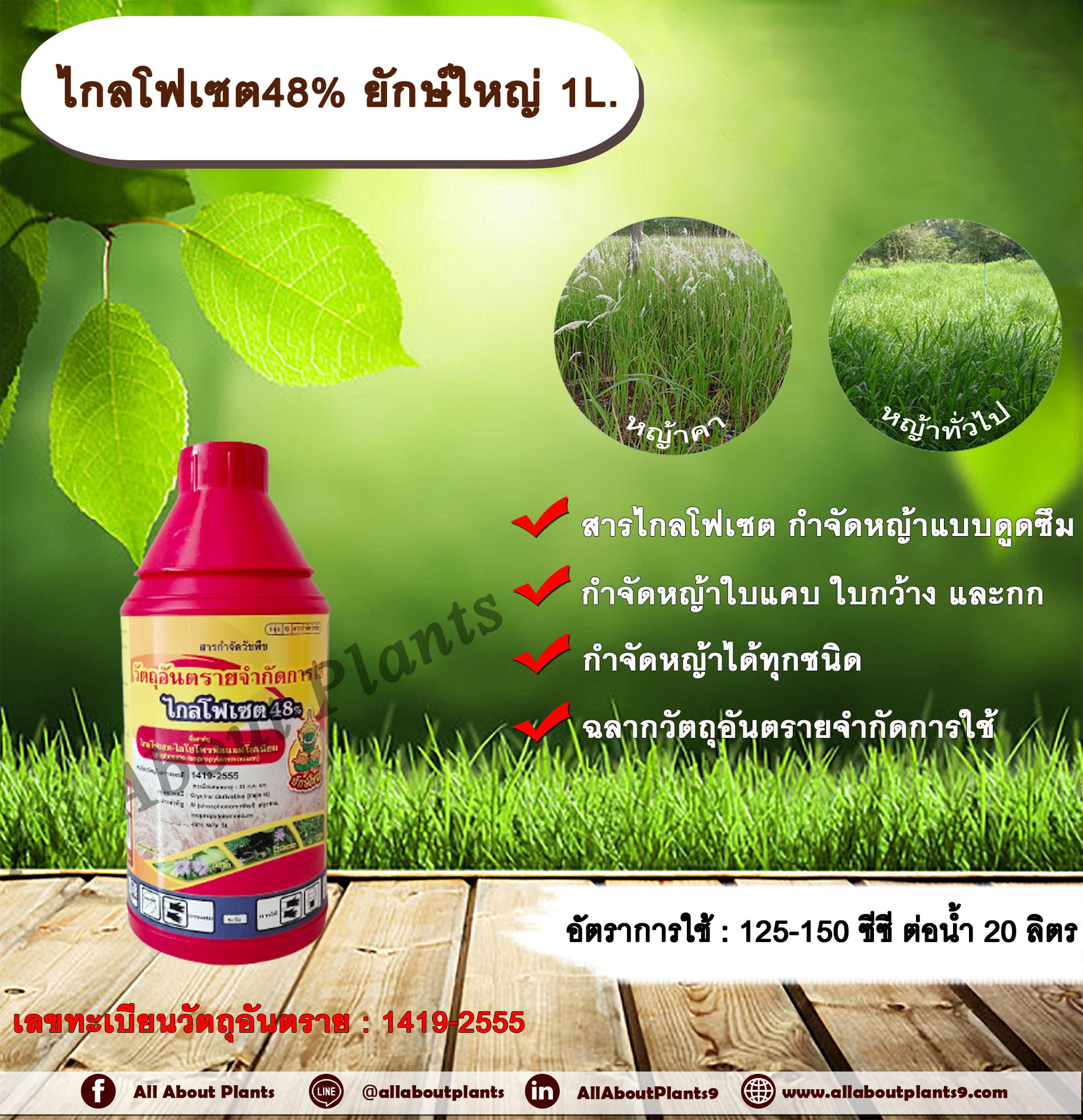 ไกลโฟเซต48% ยักษ์ใหญ่ 1L. ไกลโฟเซต สารกำจัดวัชพืช แบบดูดซึม กำจัดหญ้าทั่วไป หญ้าคา วัชพืชข้ามปี และกก ดูดซึมไม่เลือกทำลาย Glyphosate ขวด