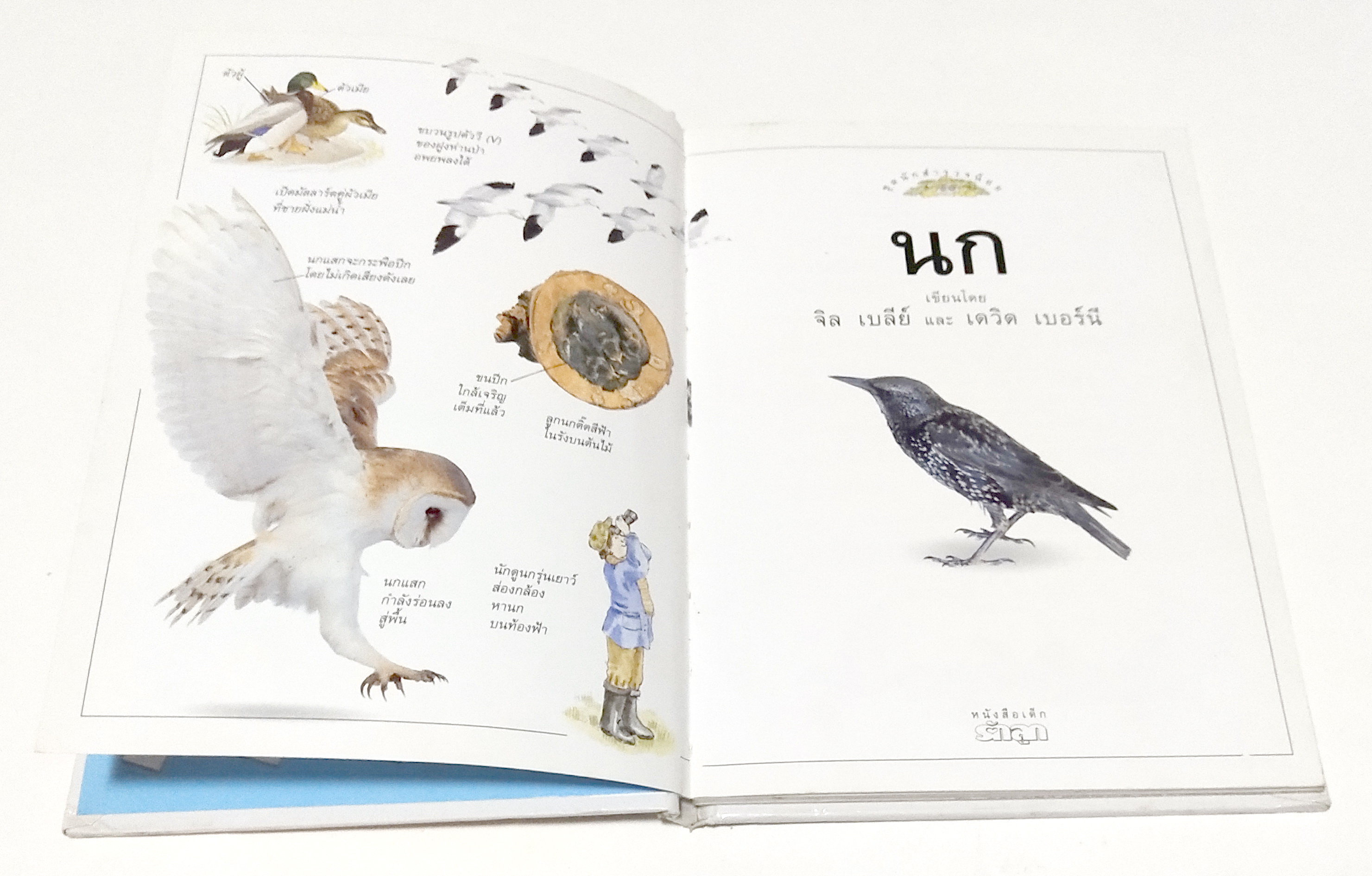 หนังสือภาพสีสวย กระดาษมัน ปกแข็ง "นก A DORING KINDERSLEY BOOK " สำรวจและเรียนรู้โลกน่ารักน่าพิศวงของนก แปลโดย นพ.รังสฤษฏิ์ กาญจนวณิชย์ พิมพ์ครั้งแรก เมษษยน 2536