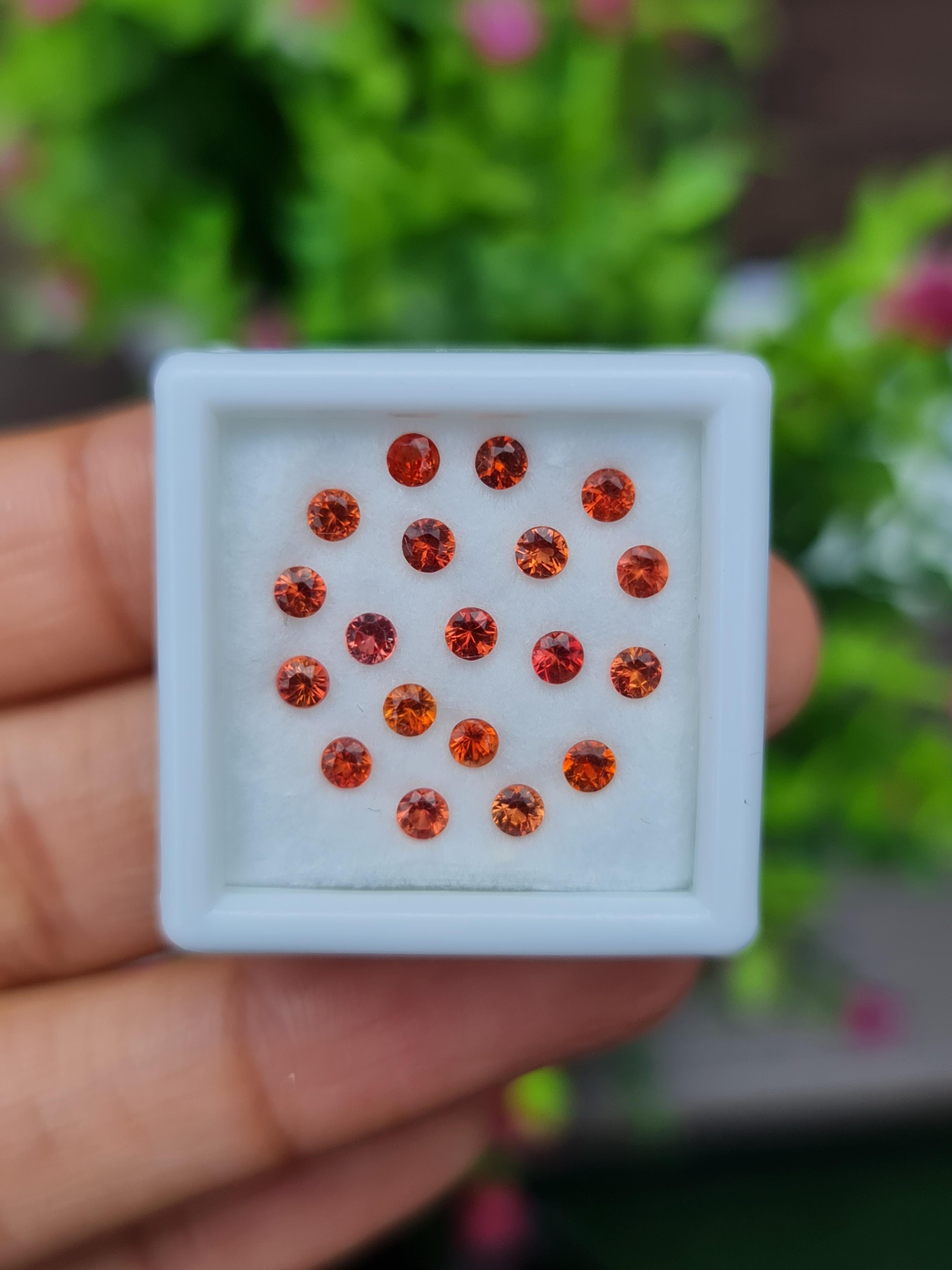 พลอย ซองเจีย แซฟไฟร์ Songea Sapphire 19 เม็ด 1.60 กะรัต (Cts.) พลอยแท้ อัญมณีมงคลประจําวันเกิด เครื่องประดับพลอย