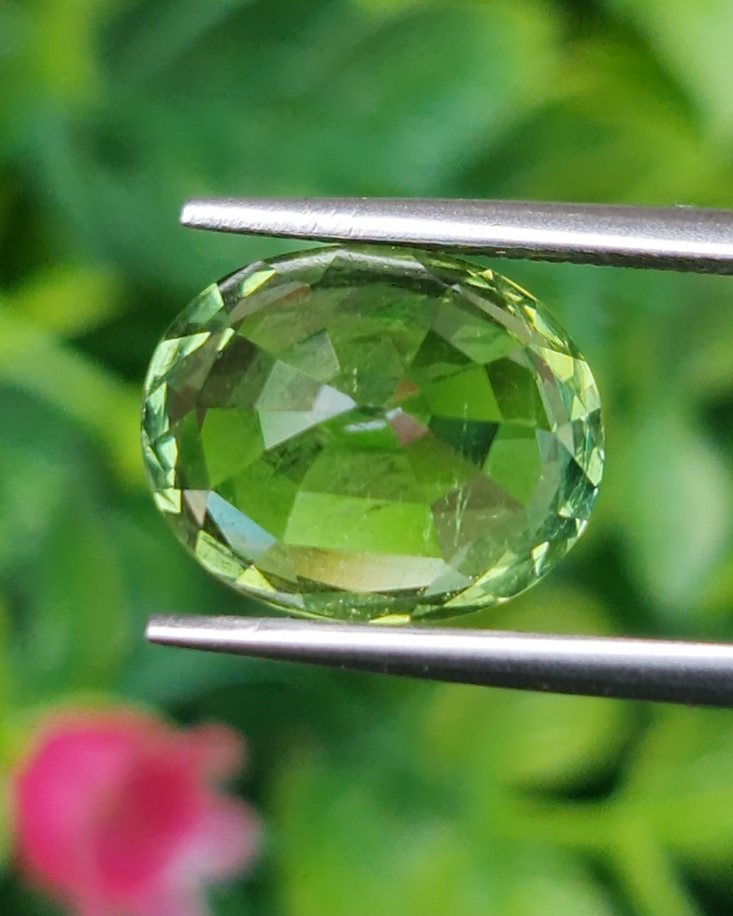 พลอย กรีน ทัวร์มารีน (Green Tourmaline) 6.80 กะรัต (Cts.) อัญมณีมงคลประจําวันเกิด เครื่องประดับพลอย