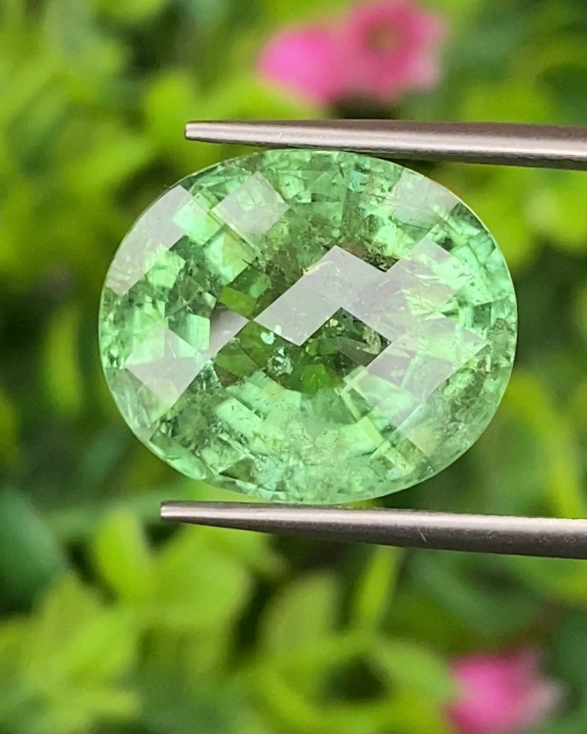 พลอย พาไรบ้า ทัวร์มาลีน Paraiba Tourmaline 13.99 กะรัต (Cts.) พร้อมใบเซอร์ พลอยแท้อัญมณีมงคล ประจําวันเกิด เครื่องประดับพลอย