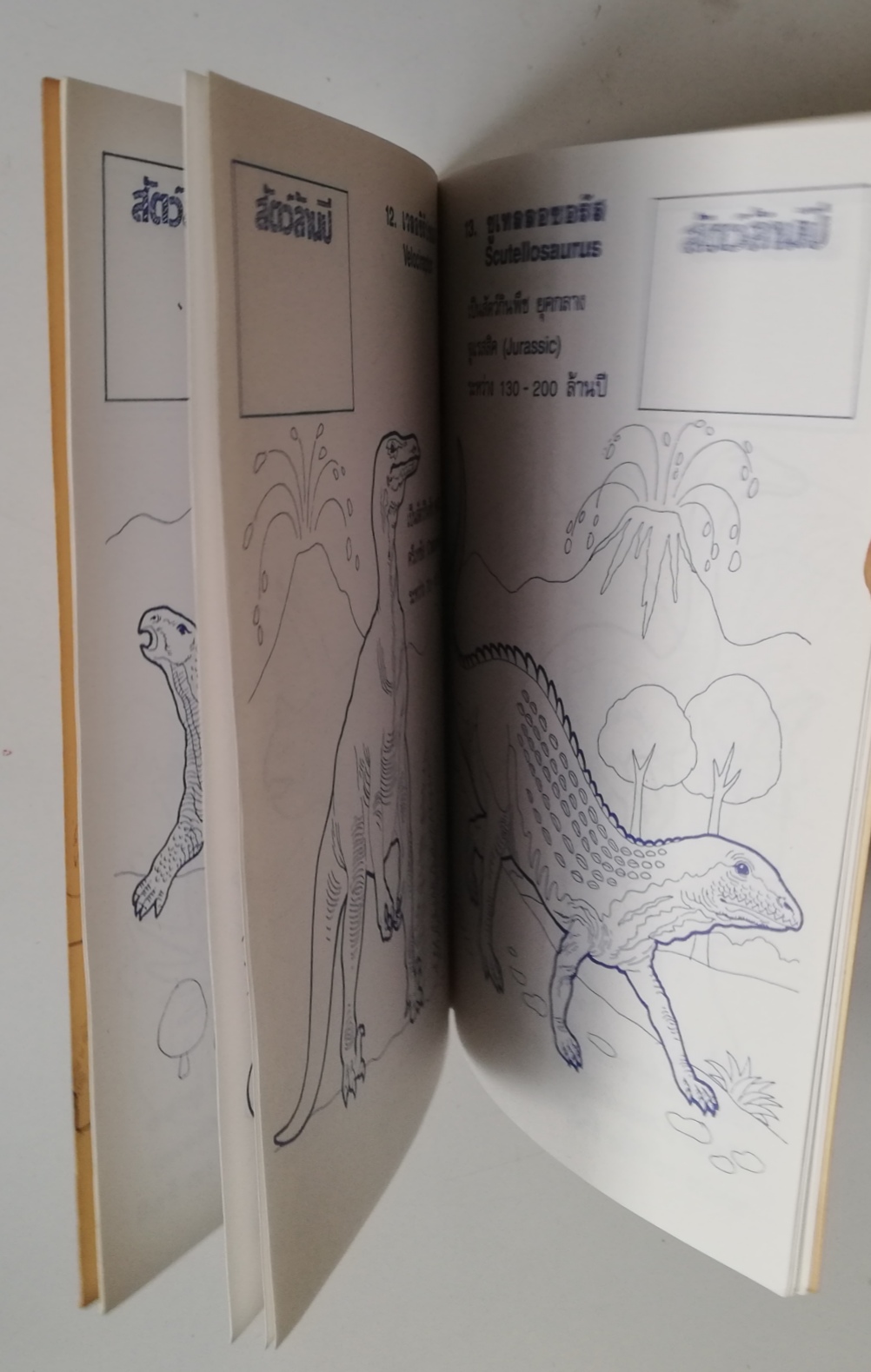 เซ็ทหนังสือภาพระบายสีเก่า ขนาดพ็อคเก็คบุ๊ค สัตว์ล้านปี พร้อมรูปลอก และ พระราชากับช่างตัดเสื้อ (ปกหลังมีรอยด้านล่างตามภาพ) -สัตว์ล้านปี พร้อมรูปลอก รู้จักสัตว์ประหลาดดึำดำบรรพ์ยุคจูแรสสิก-ครีเทซัส (70-200 ล้านปี) -พระราชากับช่างตัดเสื้อ