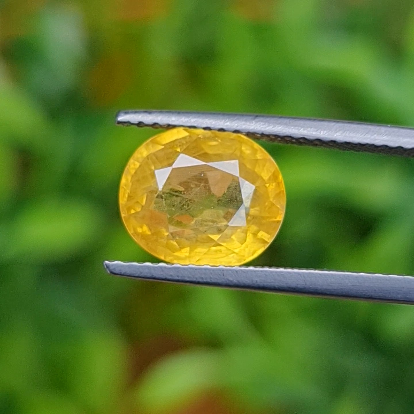 พลอย บุษราคัม Yellow Sapphire 3.95 กะรัต (Cts.) พลอยแท้ อัญมณีมงคลประจําวันเกิด เครื่องประดับพลอย