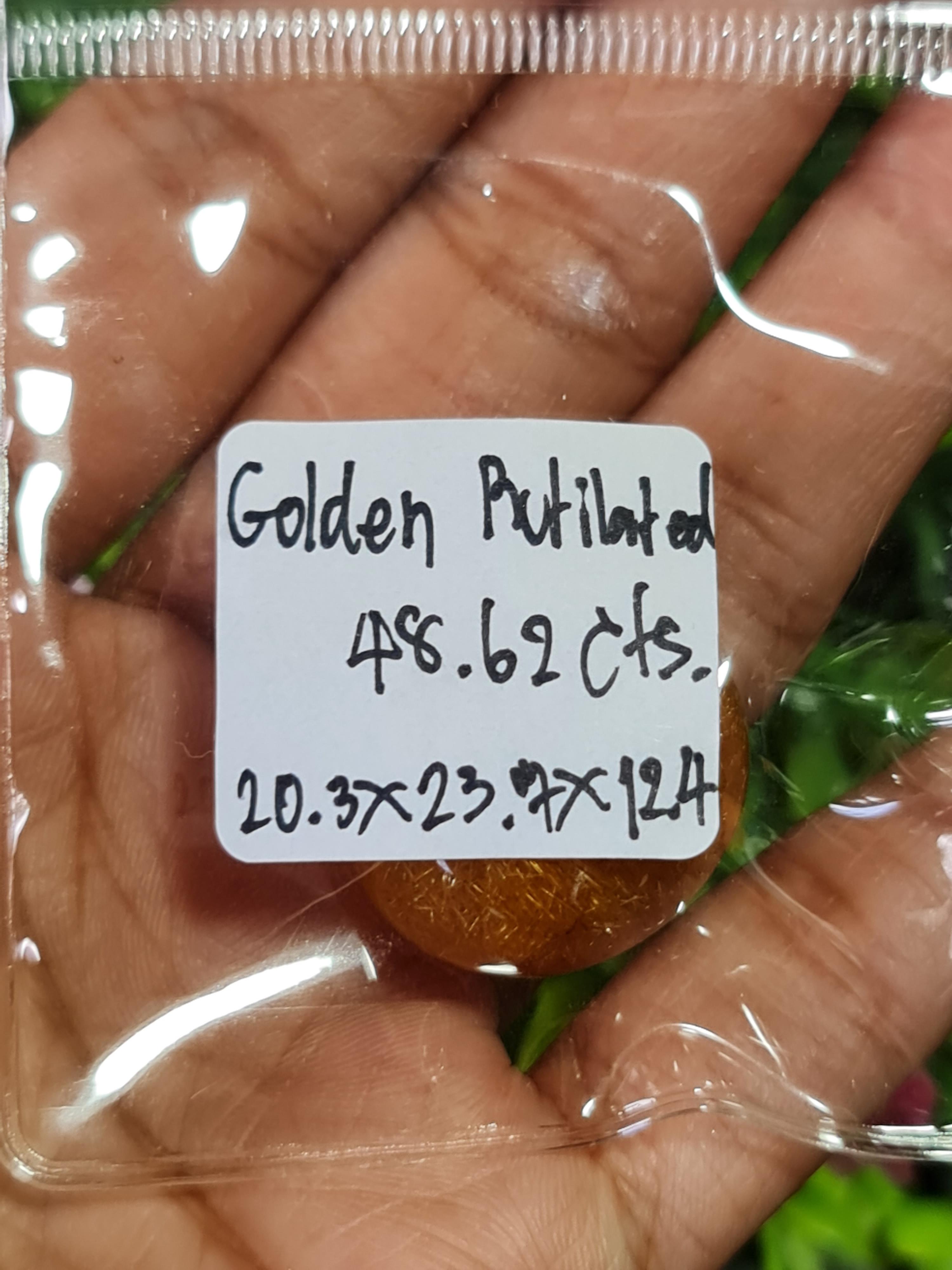 ไหมทอง ควอตซ์ Golden Rutilated Quartz 48.62 กะรัต Cts.พลอยแท้ อัญมณีมงคลประจําวันเกิด เครื่องประดับพลอย