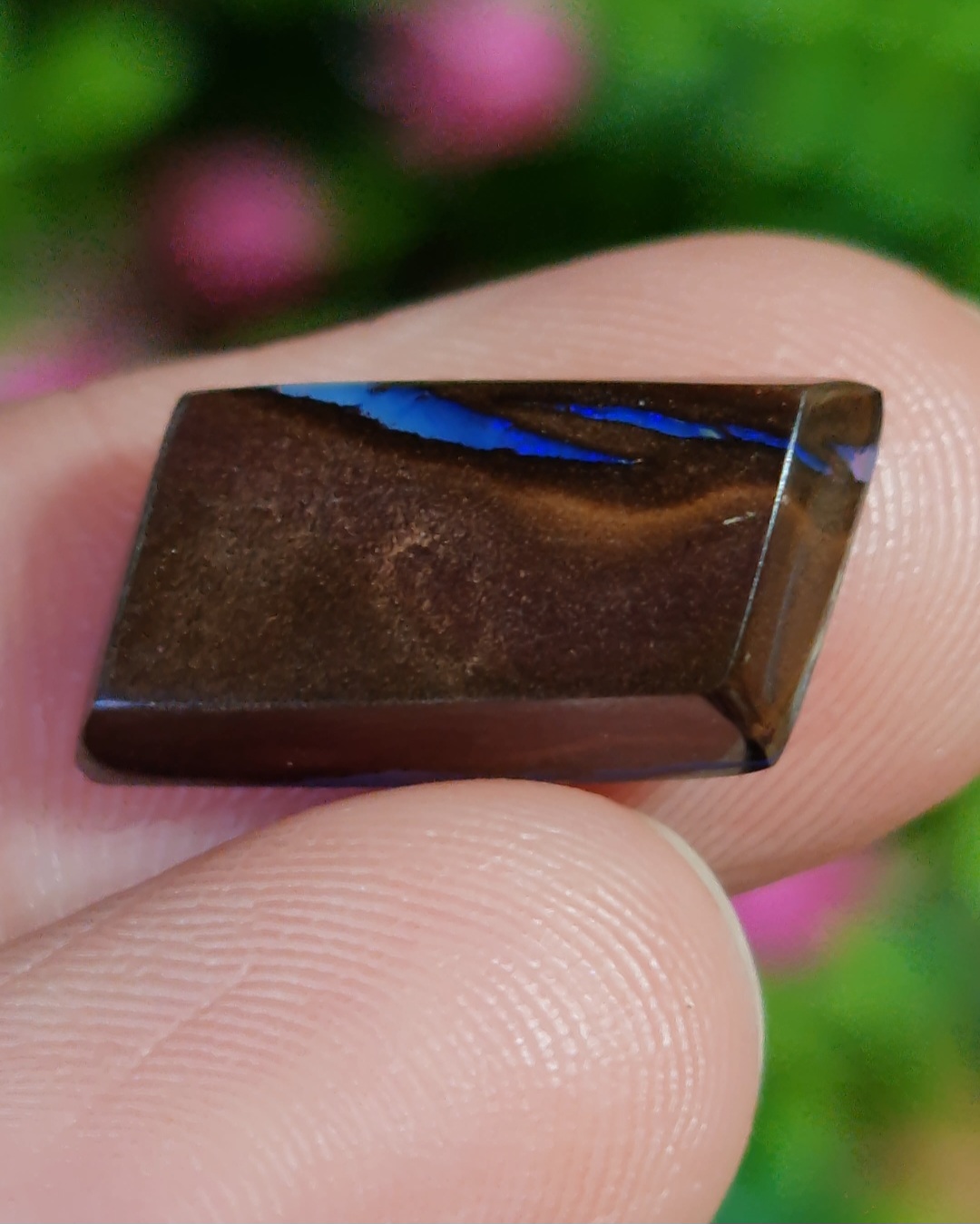 พลอย โบลเดอร์ โอปอล ออสเตรเลีย Australian Boulder Opal 7.00 กะรัต (Cts.) พลอยแท้ อัญมณีมงคลประจําวันเกิด เครื่องประดับพลอย