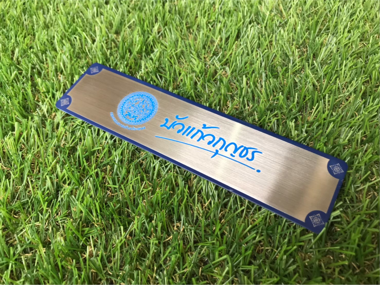 งานกัดกรด