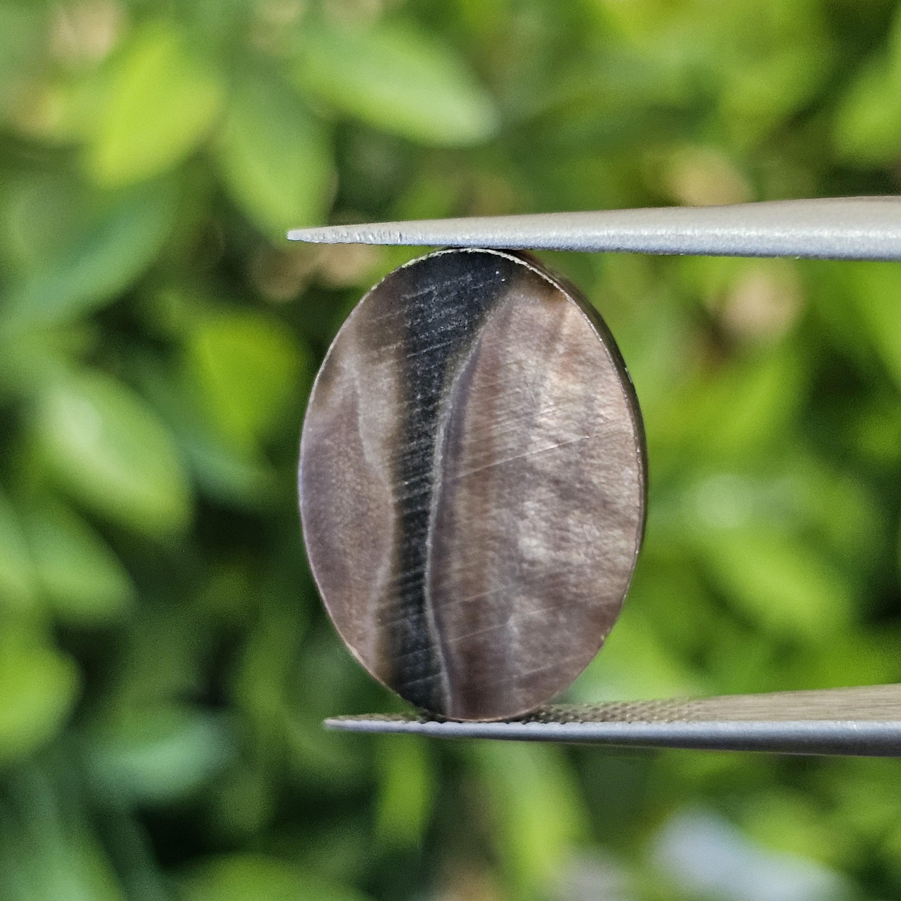 เปลือกหอยมุก แกะสลัก Pearl Shell Carved 4.51 กะรัต (Cts.)