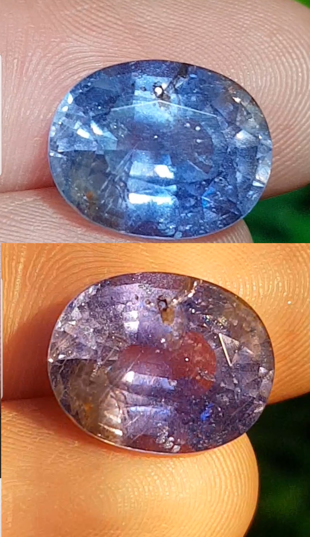 พลอย คัลเลอร์เชนจ์ แซฟไฟร์ ColorChange Sapphire 8.83 กะรัต (Cts.) ดิบ Unheated พร้อมใบเซอร์ พลอยแท้ อัญมณีมงคลประจําวันเกิด เครื่องประดับพลอย