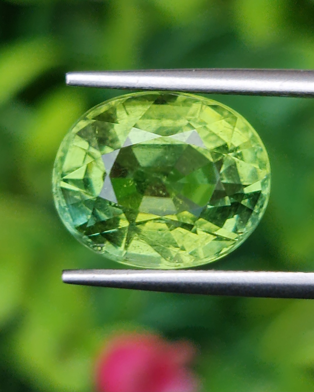 พลอย กรีน ทัวร์มารีน (Green Tourmaline) 6.80 กะรัต (Cts.) อัญมณีมงคลประจําวันเกิด เครื่องประดับพลอย