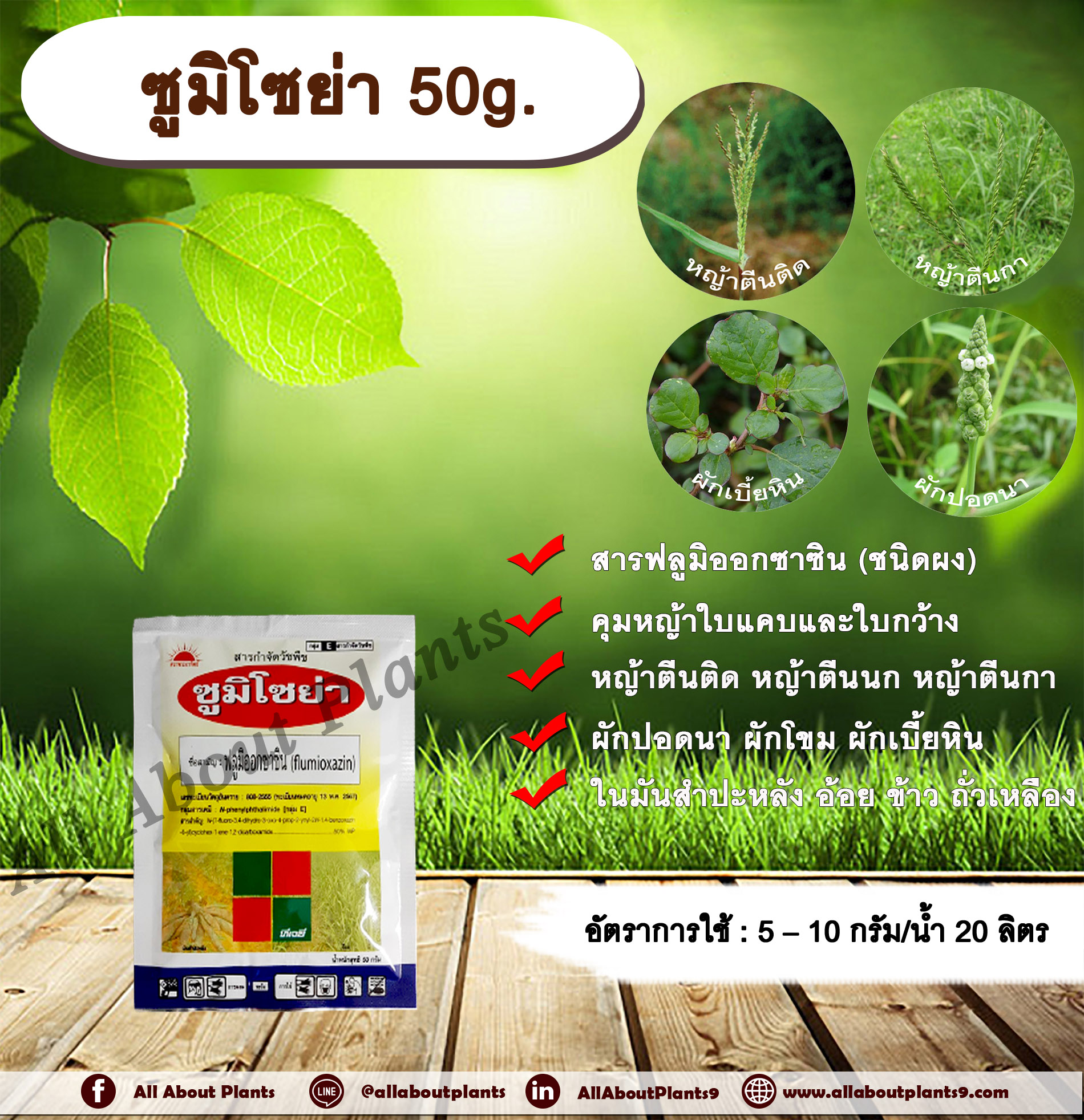 ซูมิโซย่า 50g. ฟลูมิออกซาซิน สารคุมและกำจัดหญ้าใบแคบ ใบกว้าง และกก คุมแห้ง ในมันสำปะหลัง อ้อย ข้าว ถั่วเหลือง allaboutplants ชิ้น