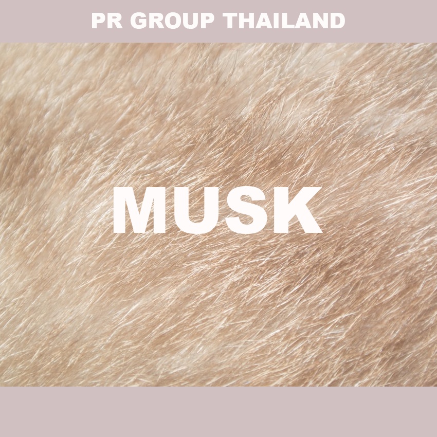 Perfume vial ตัวอย่าง 3ml