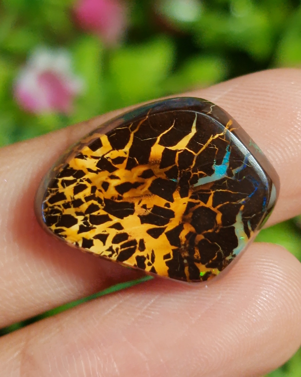 พลอย โบลเดอร์ โอปอล ออสเตรเลีย Australian Boulder Opal 15.10 กะรัต (Cts.) พลอยแท้ อัญมณีมงคลประจําวันเกิด เครื่องประดับพลอย