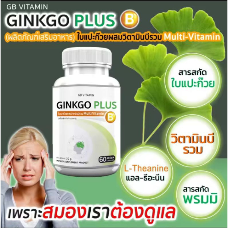5 PV. GB Ginkgo Plus-B อาหารเสริม ใบแปะก๊วยผสมวิตามินบีรวม สารสกัดใบแปะก๊วย 60 แคปซูล