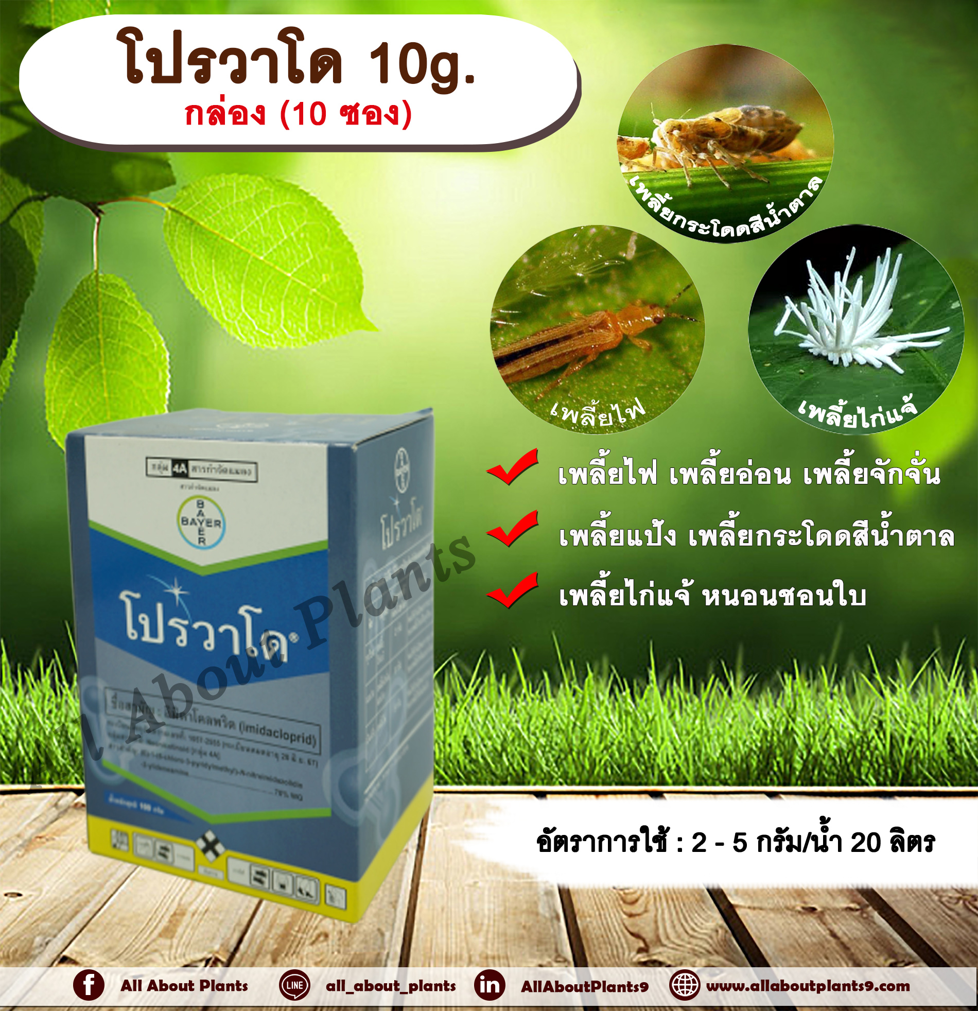 โปรวาโด 10g. 1 กล่อง 10 ซอง อิมิดาโคลพริด สารกำจัดแมลง กำจัดเพลี้ยไฟ เพลี้ยอ่อน เพลี้ยแป้ง เพลี้ยกระโดด แมลงหวี่ขาว หนอน allaboutplants ชิ้น