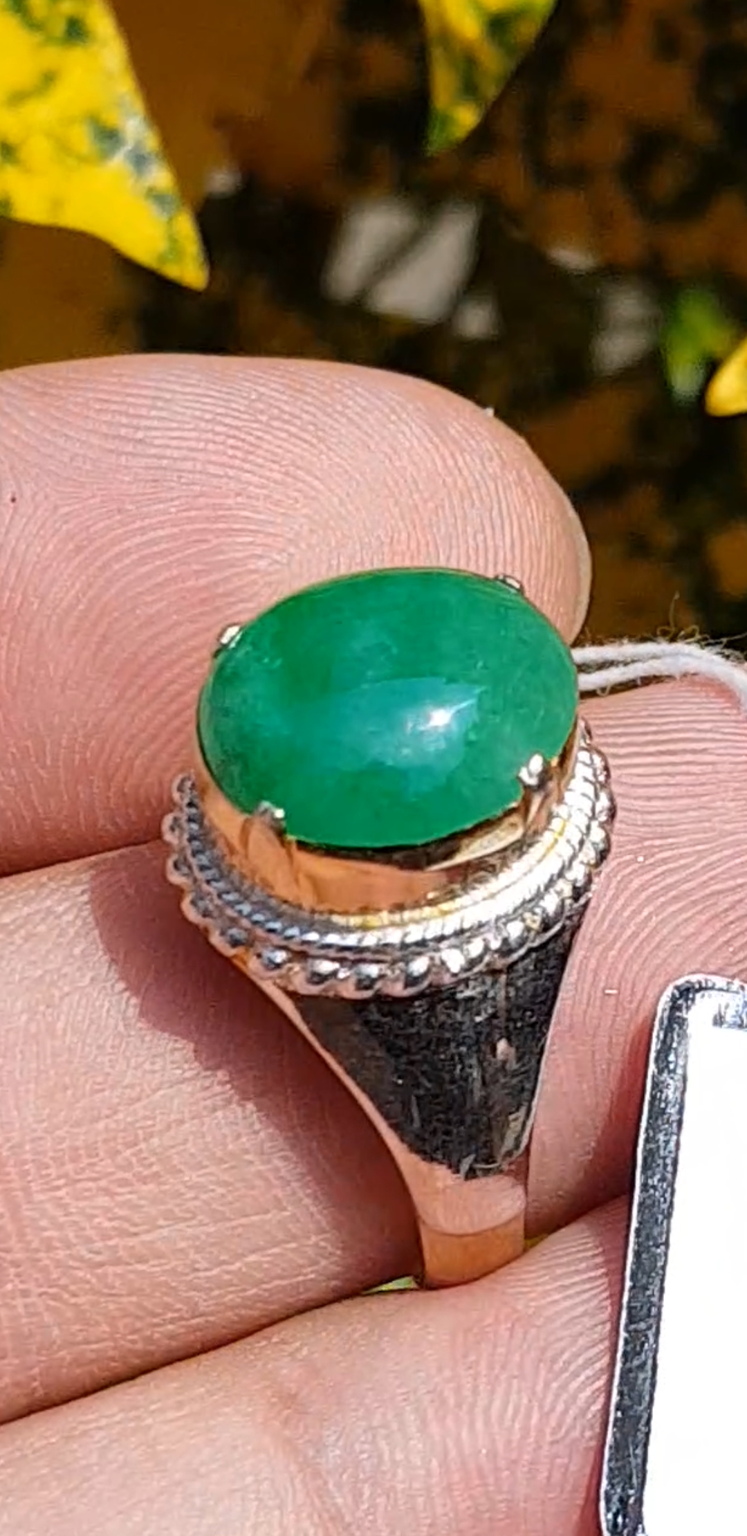 หยก พม่า แท้ Jade แหวนหยก 翡翠戒指 (Jadeite ring) 3.12 กะรัต (Cts.) ดิบ ไม่ผ่านการปรับปรุง (Type A) พม่า (Myanmar)