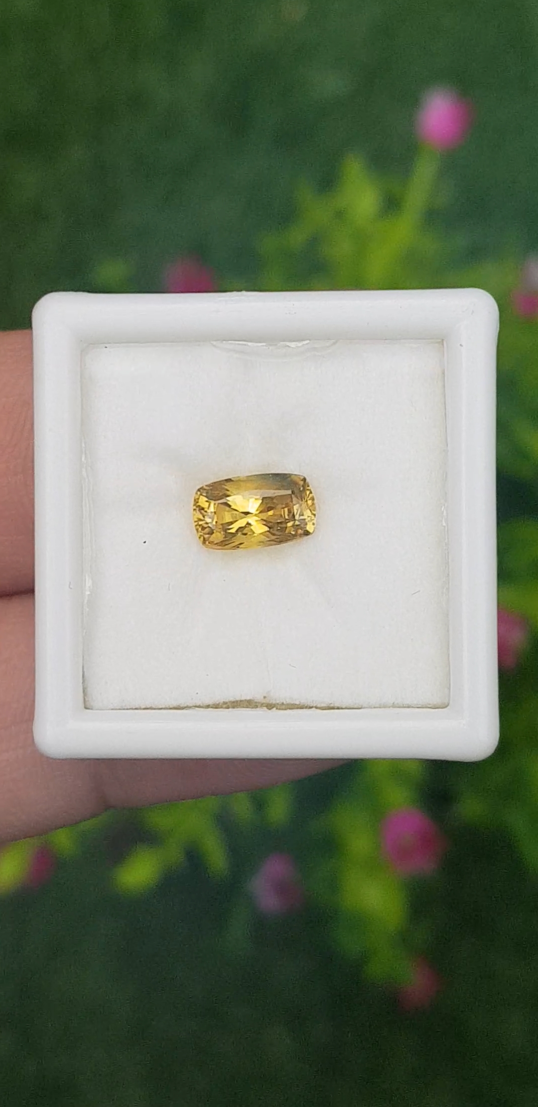 พลอย บุษราคัม Yellow Sapphire 1.34 กะรัต (Cts.) ดิบ ไม่ผ่านการเผา (Unheated) พร้อมใบเซอร์ พลอยแท้ อัญมณีมงคลประจําวันเกิด เครื่องประดับพลอย