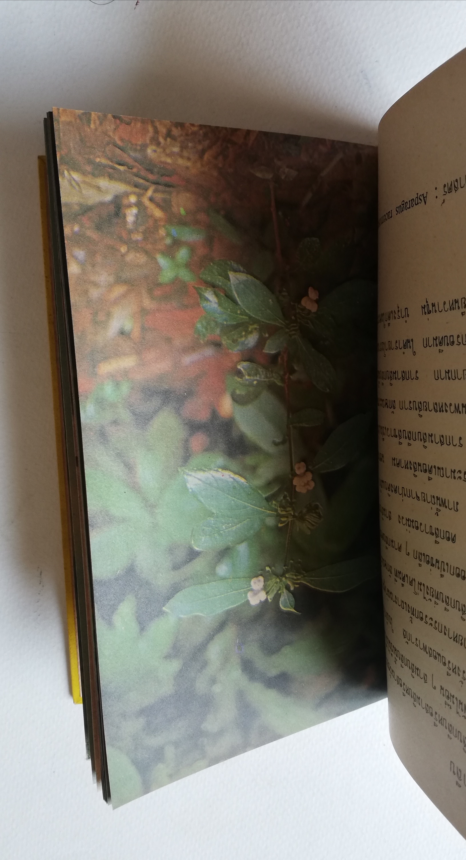 มีหลายภาพ หนังสือเก่ามีตำหนิตามภาพ หนังสือชุดความรู้ไทยเล่มเล็ก ขององค์การค้าของคุรุสภา เรื่อง ดอกไม้ในป่า พิมพ์ครั้งที่ 2 ปี 2527