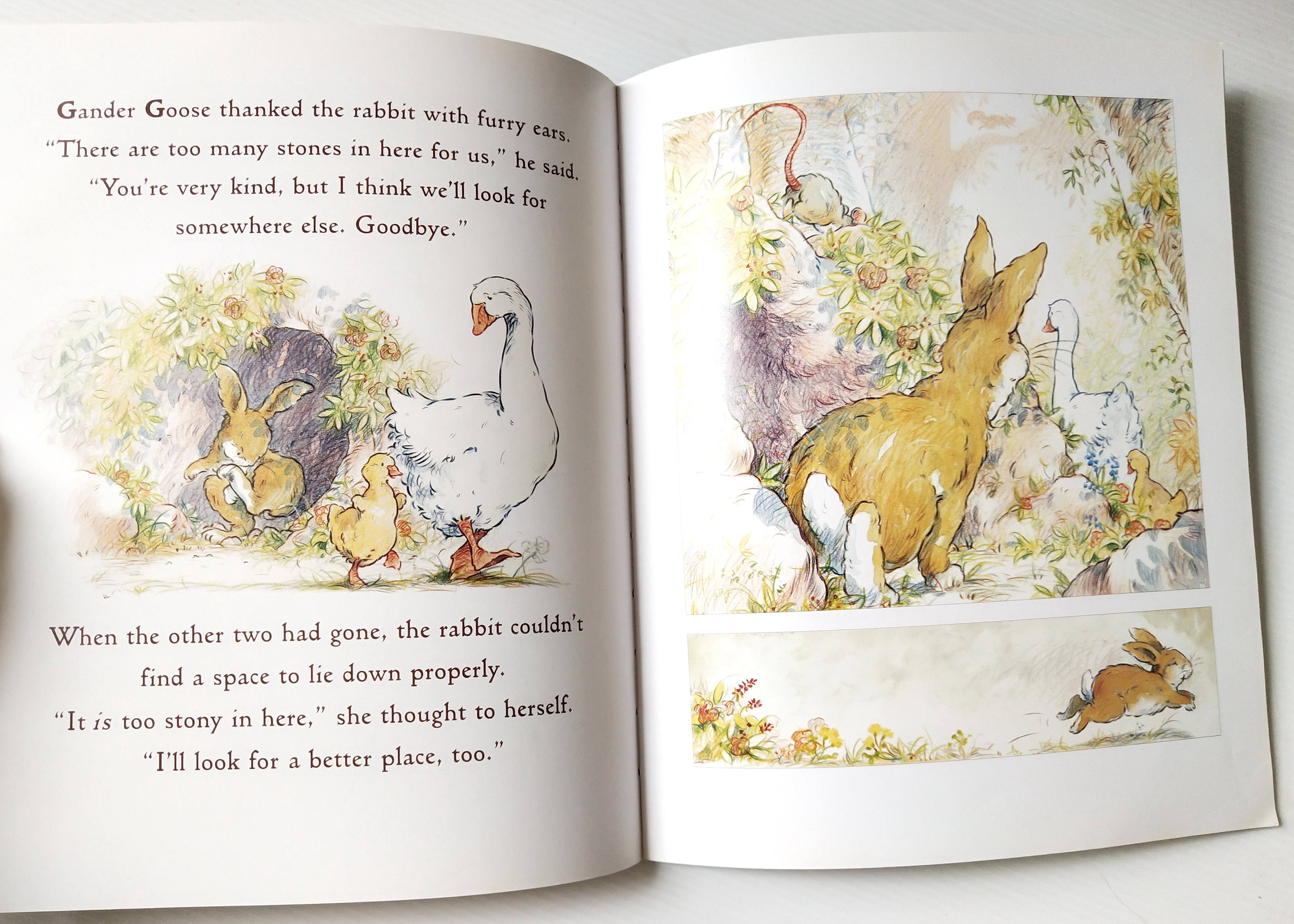 หนังสือนิทานฉบับภาษาอังกฤษ เรื่องราวของครอบครัวห่าน และห่านน้อย จาก SAM MCBRATNEY,"Just You and Me" ภาพโดย Ivan Bates