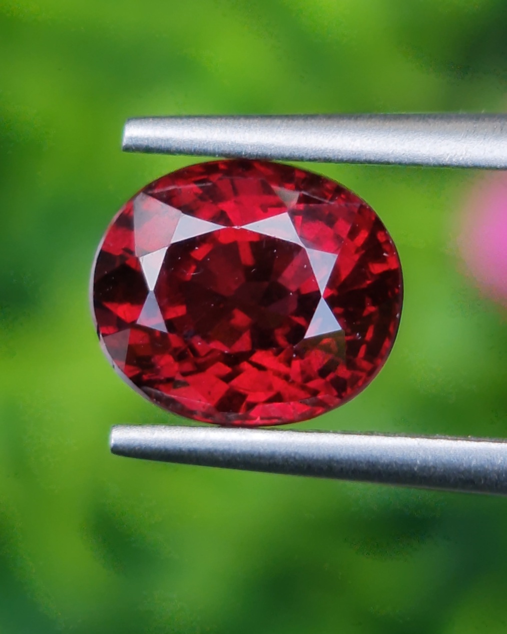 พลอย โรโดไลต์ กาเน็ท Rhodolite Garnet 2.68 กะรัต Cts.พลอยแท้ อัญมณีมงคลประจําวันเกิด เครื่องประดับพลอย