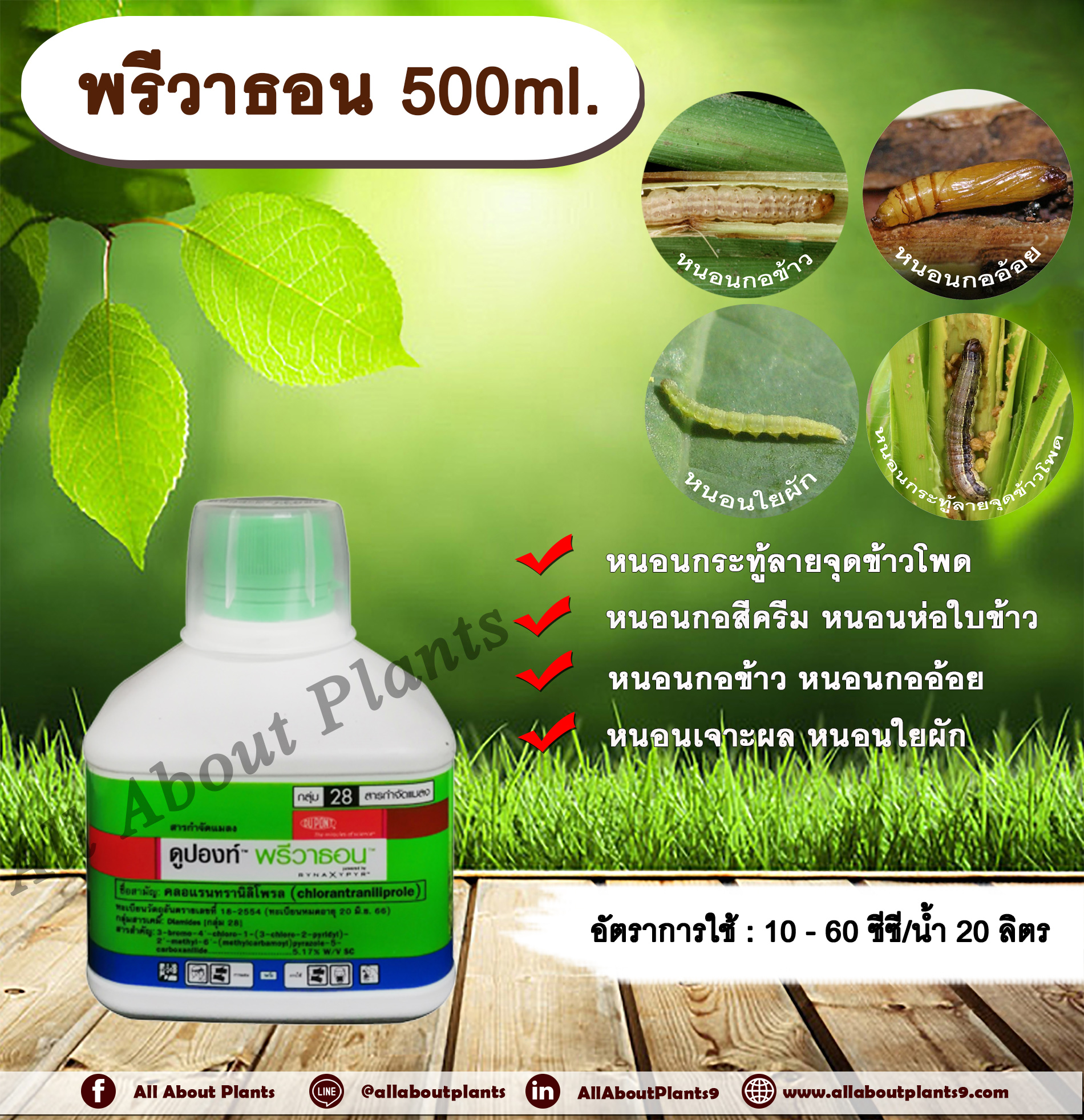 พรีวาธอน 500ml. คลอแรนทรานิลิโพรล กำจัดหนอน หนอนกระทู้ลายจุดข้าวโพด หนอนกอข้าว หนอนกออ้อย หนอนเจาะ หนอนใย หนอนห่อใบข้าว allaboutplants ชิ้น
