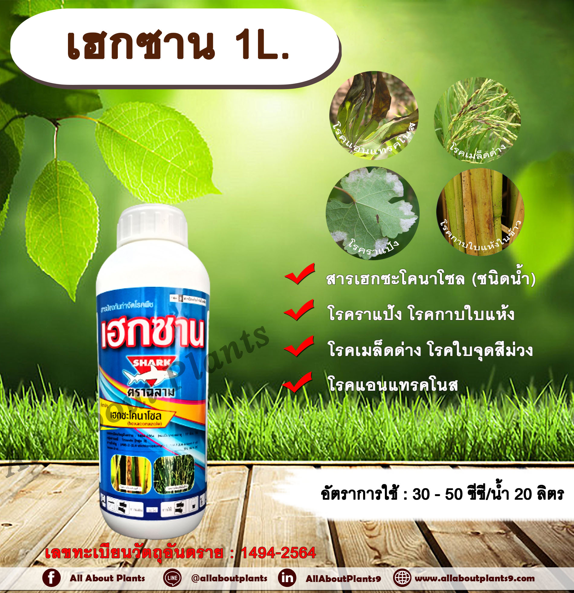 เฮกซาน 1L. เฮกซะโคนาโซล สารป้องกันกำจัดโรคพืช กำจัดเชื้อรา โรคราแป้ง โรคกาบใบแห้งข้าว โรคเมล็ดด่างข้าว โรคใบจุดสีม่วง โรคแอนแทรคโนส สารกำจัดโรคพืชประเภทดูดซึม ขวด