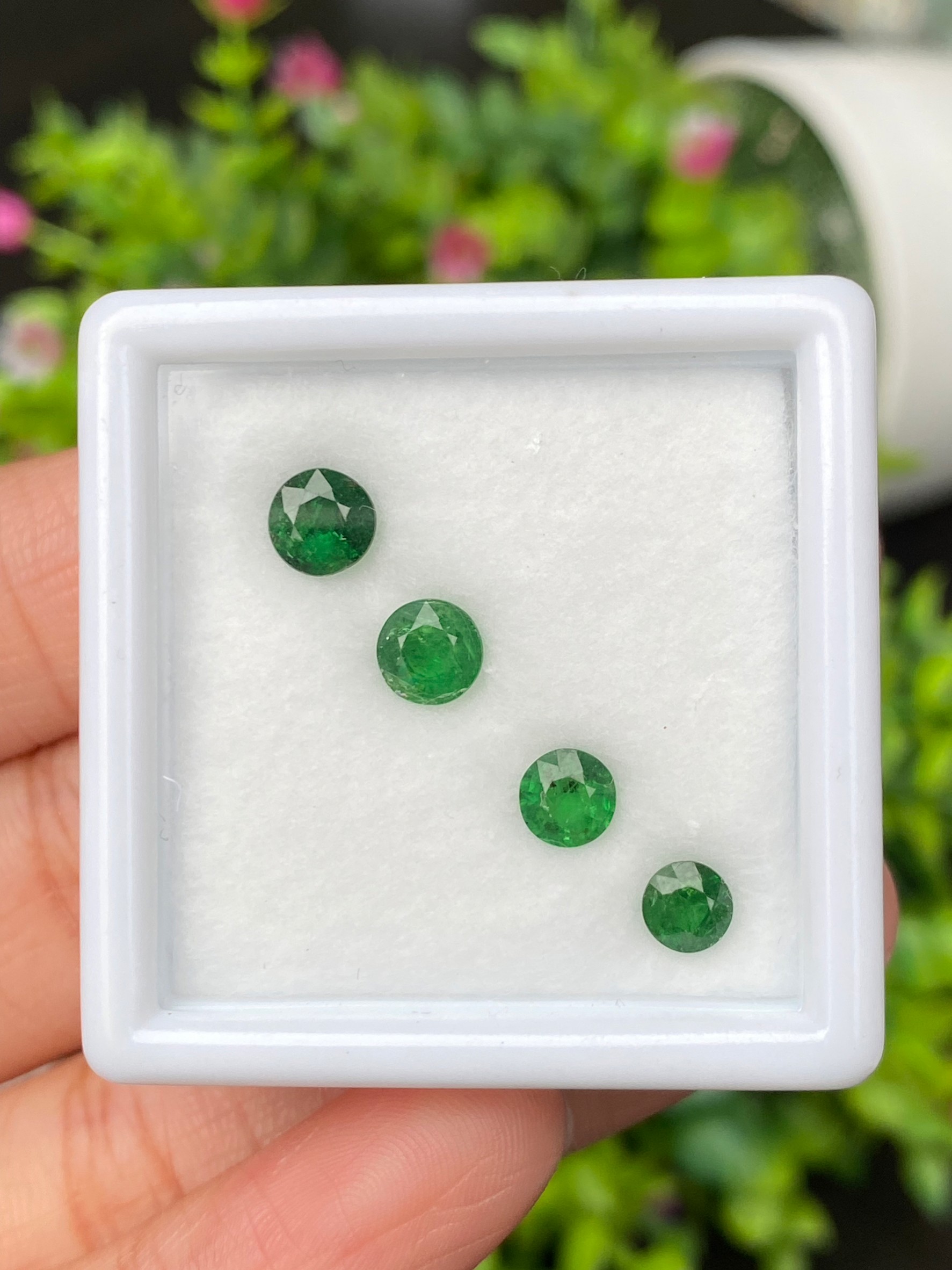 พลอย ซาโวไรท์ Tsavorite Garnet 2.75 กะรัต (Cts.) 4 เม็ด ดิบ Unheated พลอยแท้ อัญมณีมงคลประจําวันเกิด เครื่องประดับพลอย