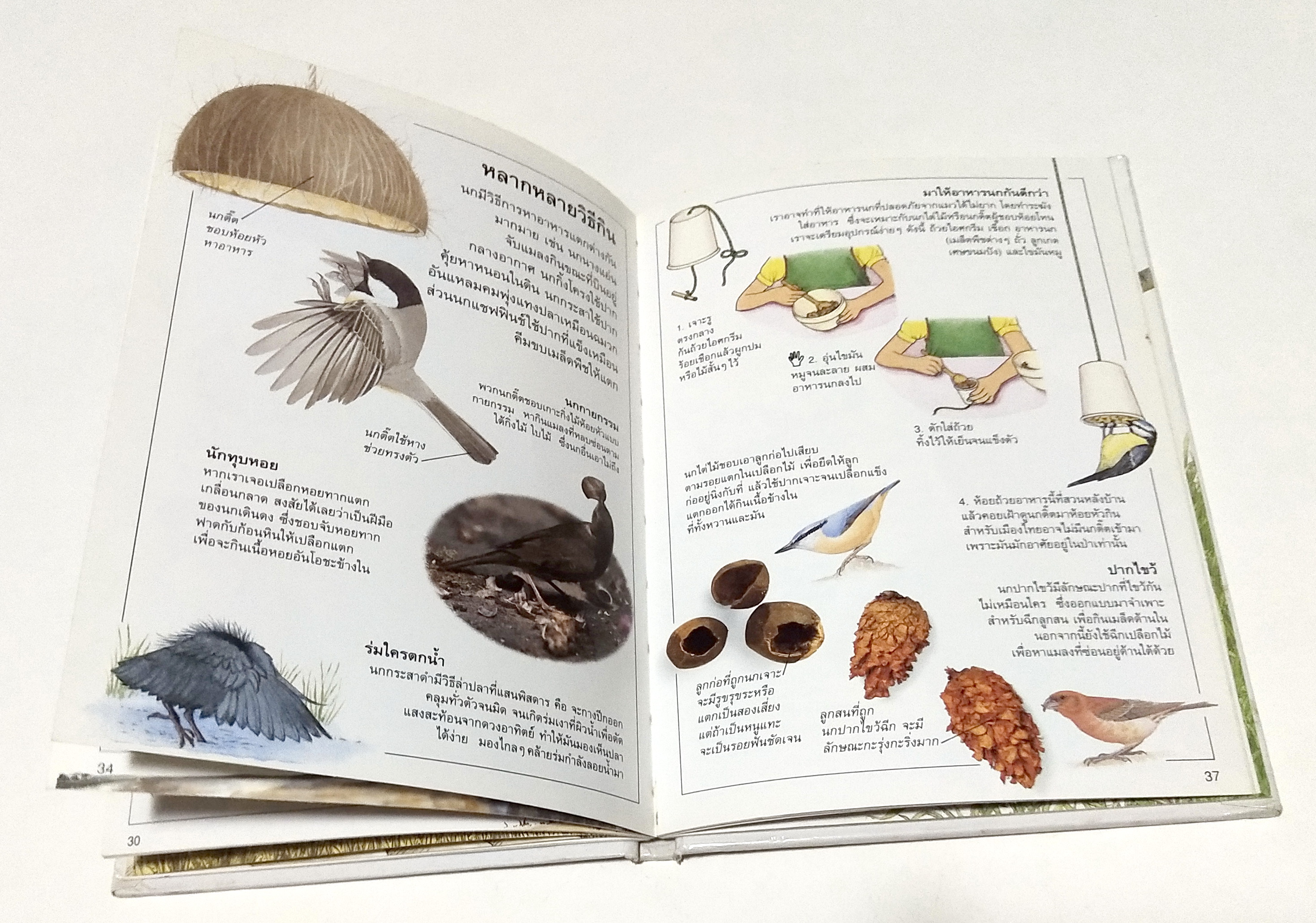 หนังสือภาพสีสวย กระดาษมัน ปกแข็ง "นก A DORING KINDERSLEY BOOK " สำรวจและเรียนรู้โลกน่ารักน่าพิศวงของนก แปลโดย นพ.รังสฤษฏิ์ กาญจนวณิชย์ พิมพ์ครั้งแรก เมษษยน 2536