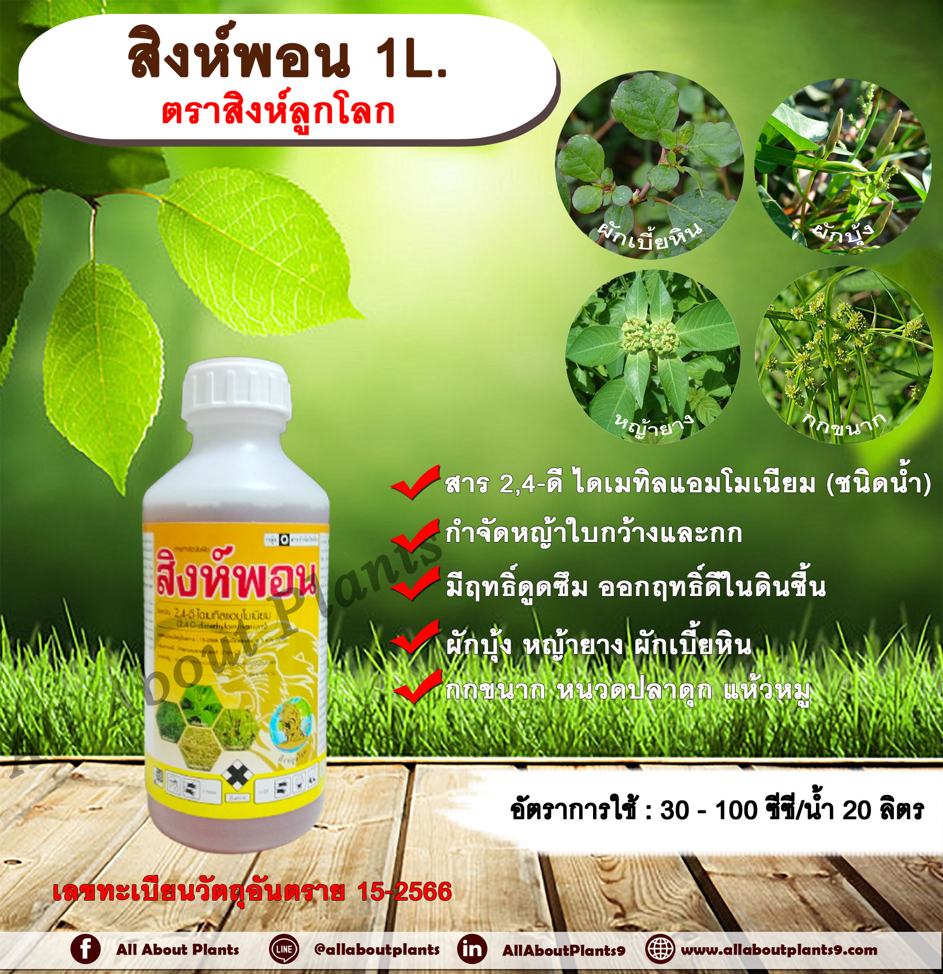 สิงห์พอน 1L. ตราสิงห์ลูกโลก 24ดี ไดเมทิลแอมโมเนียม ทูโฟดี สารกำจัดหญ้า กำจัดวัชพืช แบบดูดซึม ใบกว้าง และกก กำจัดหญ้ายาง ผักบุ้ง ผักโขม ผักเบี้ยหิน เครือ สะอึก กกขนาก แห้วหมู หนวดปลาดุก ขวด