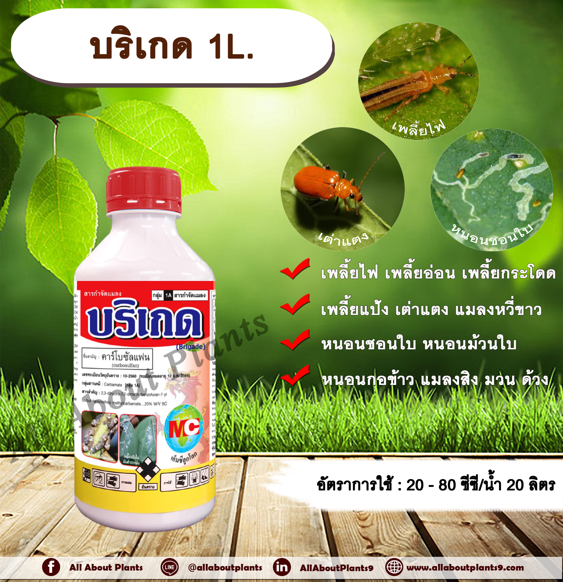 บริเกด 1L. สารกำจัดแมลง คาร์โบซัลแฟน กำจัดเพลี้ยไฟ เพลี้ยอ่อน เพลี้ยกระโดด เพลี้ยแป้ง เต่าแตง แมลงหวี่ขาว กำจัดหนอน ดูดซึม allaboutplants ชิ้น