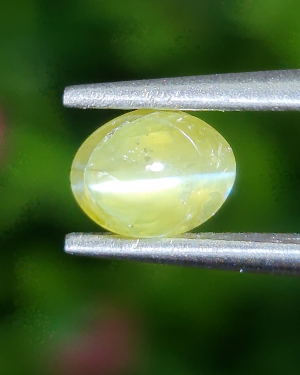 พลอย ตาแมว คริโซเบริล Cat eye Chrysoberyl 1.45 กะรัต (Cts.) พลอยแท้ อัญมณีมงคลประจําวันเกิด เครื่องประดับพลอย