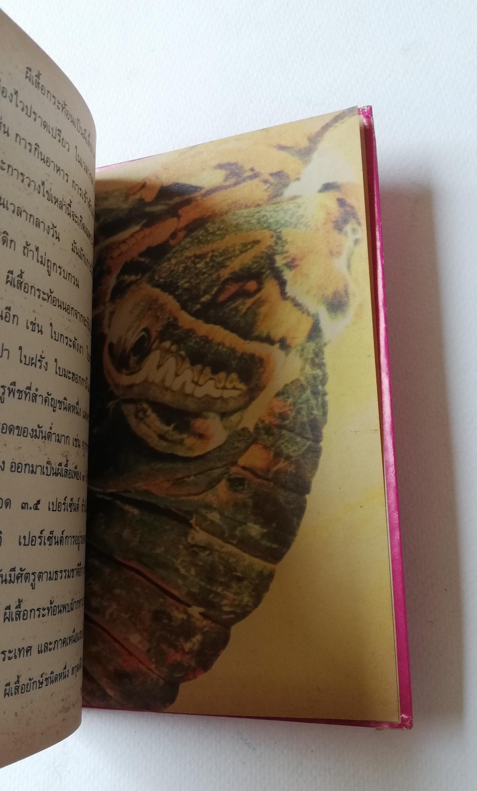 มีหลายภาพ, หน้าแรกมีตำหนิ ตามภาพ หนังสือเล่มเล็ก หนังสือชุดความรู้ไทยขององค์การค้าคุรุสภา ,ผีเสื้อแสนสวย พิมพ์ครั้งที่ 2 ปี 2527