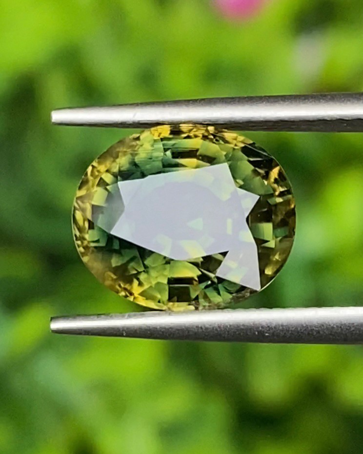 พลอย แซฟไฟร์ 2 สี Bi-Color Sapphire 5.59 กะรัต (Cts.) พร้อมใบเซอร์ พลอยแท้ อัญมณีมงคลประจําวันเกิด เครื่องประดับพลอย