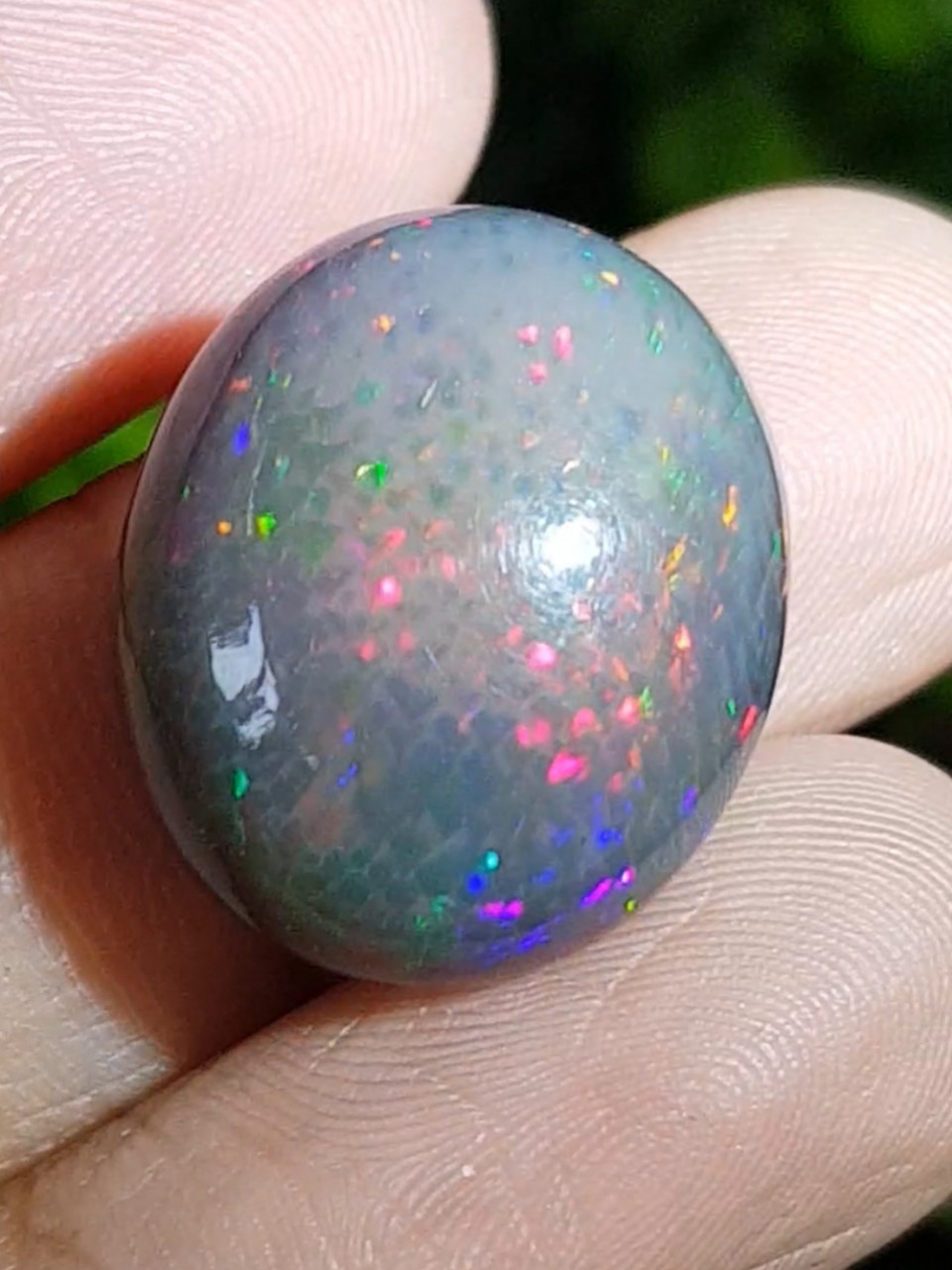 พลอย แบล็ก โอปอล Black Opal 13.73 กะรัต (Cts.) พลอยแท้ อัญมณีมงคลประจําวันเกิด เครื่องประดับพลอย