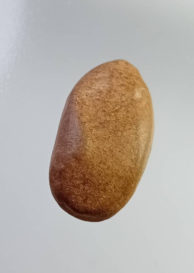 ผ2838 พระขุนแผน ไข่ผ่าซีก เนื้อดิน ไม่ทราบที่ครับ